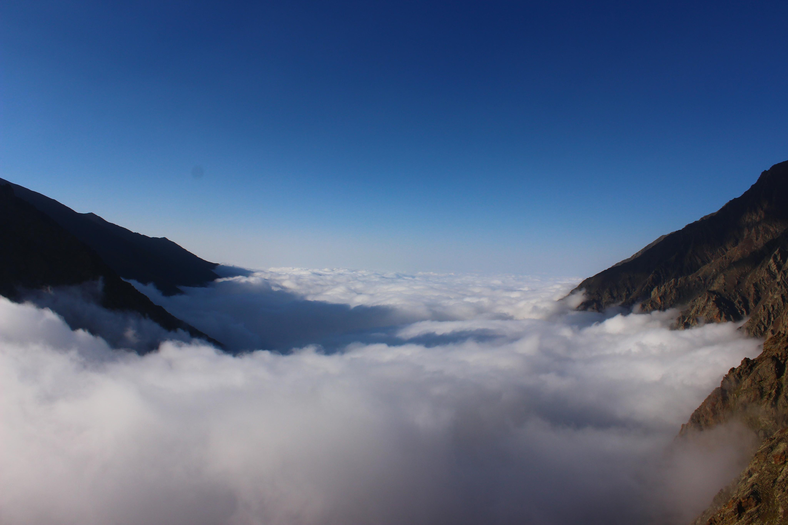 Природа. Свадебный фотограф Расторгуев Дмитрий