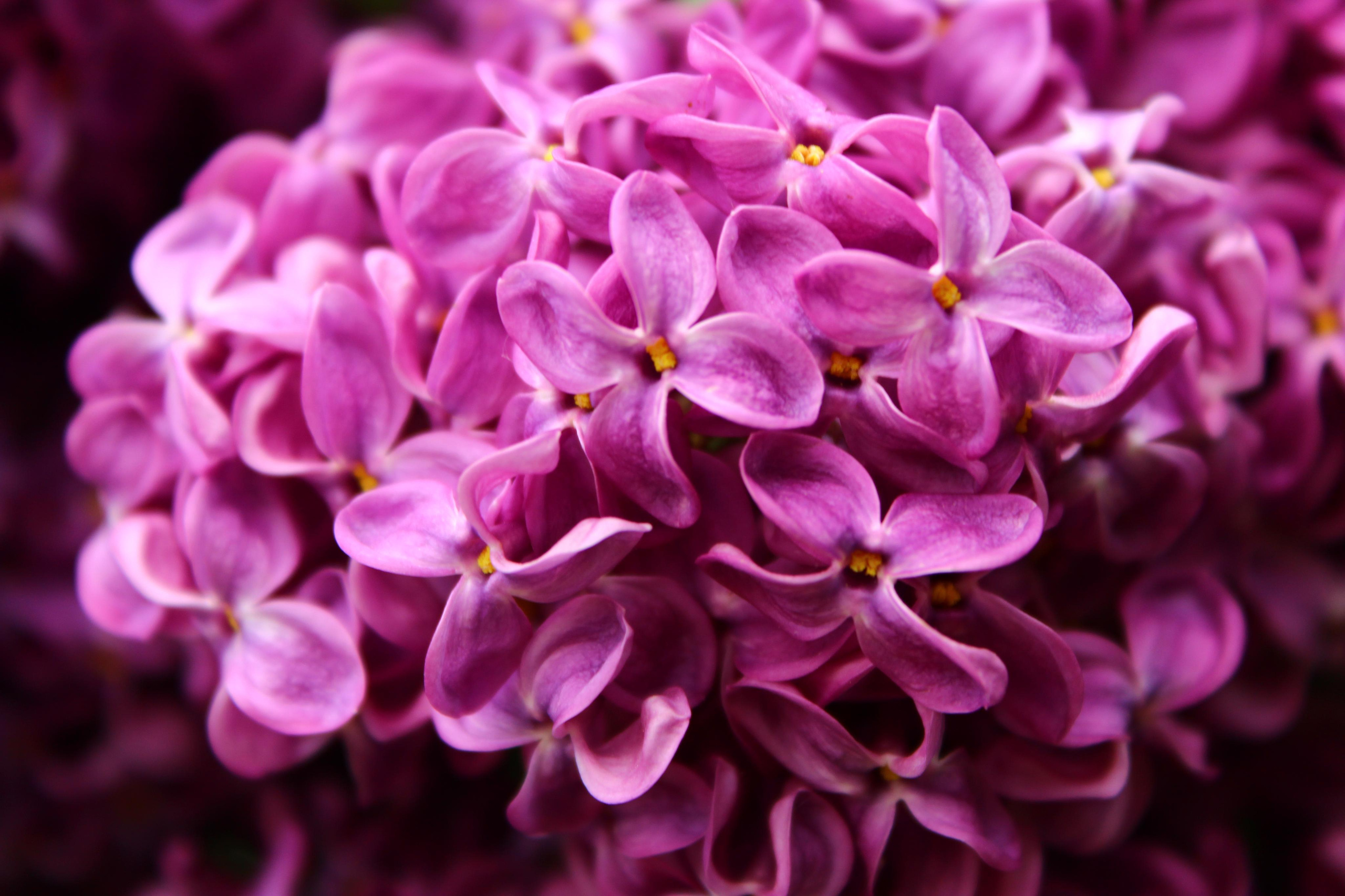 Природа. Свадебный фотограф Расторгуев Дмитрий