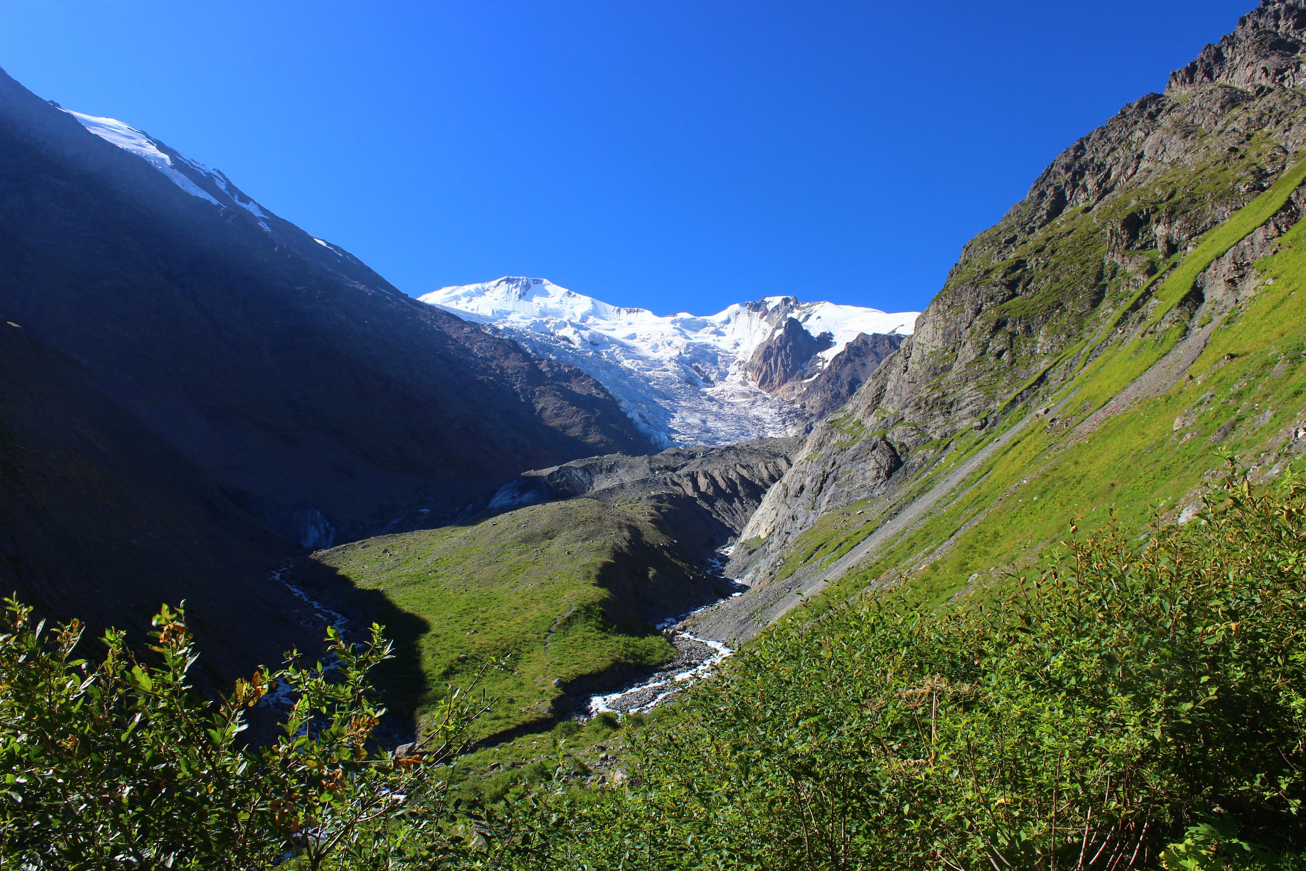 Природа. Свадебный фотограф Расторгуев Дмитрий