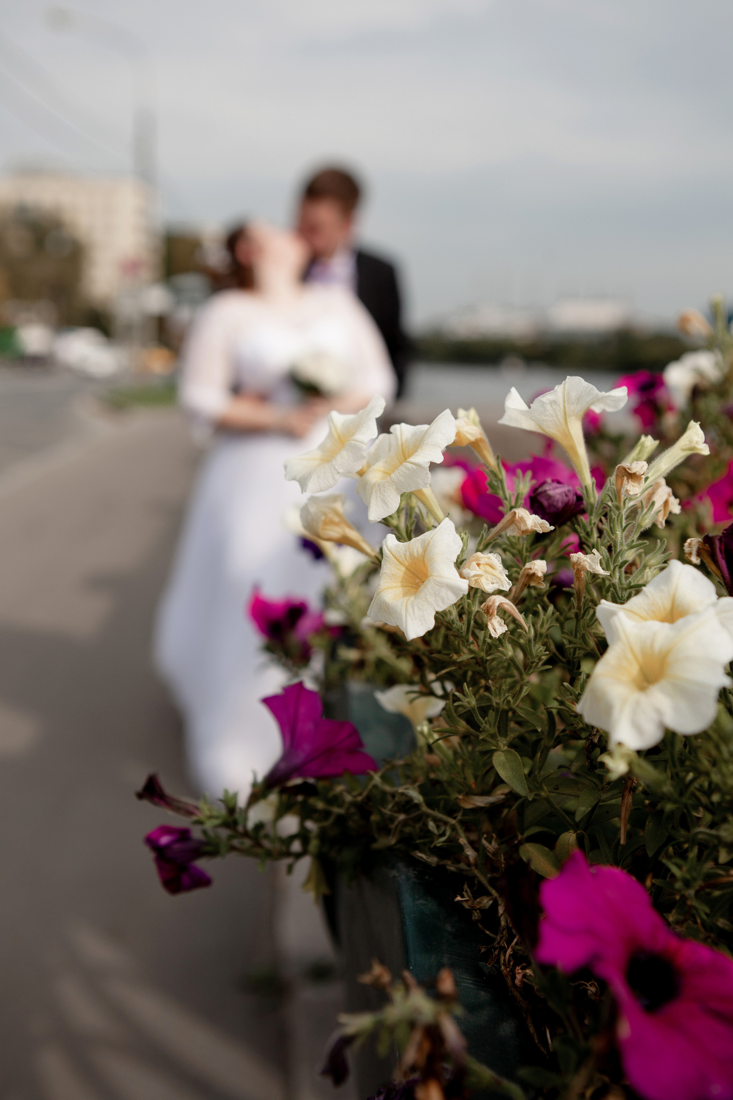 Анастасия и Владимир. Свадебный фотограф Расторгуев Дмитрий