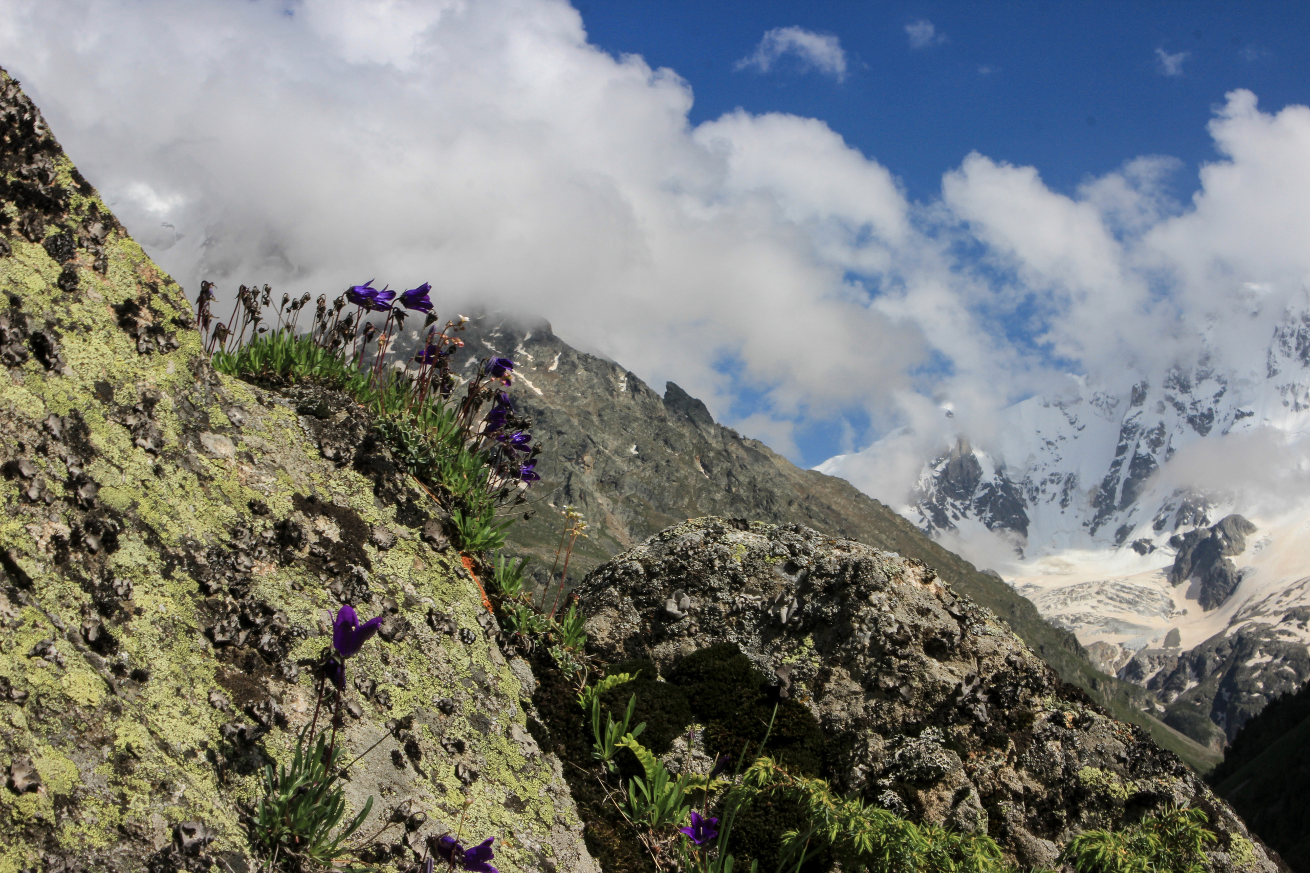 Природа. Свадебный фотограф Расторгуев Дмитрий