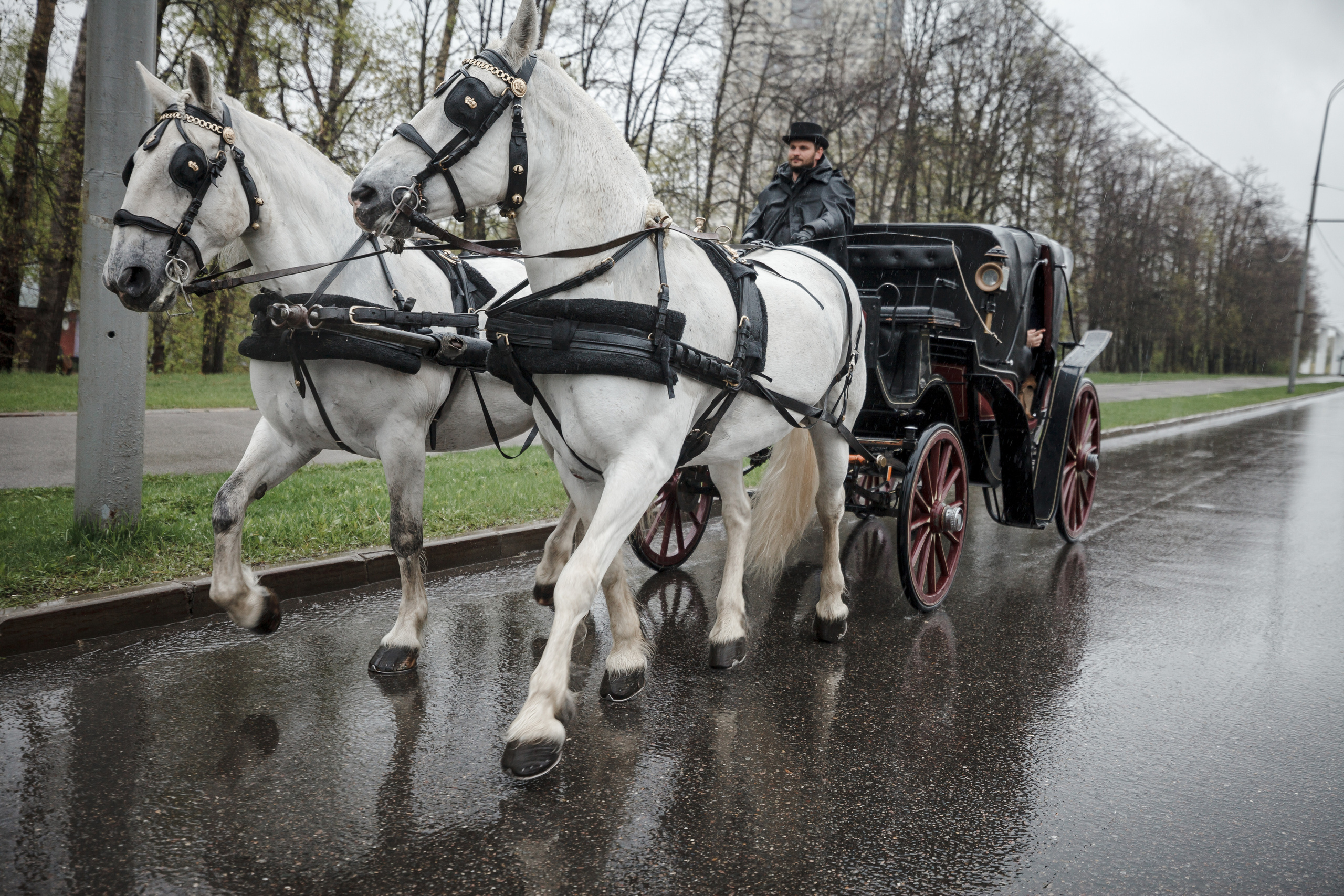 Мария и Алексей. Свадебный фотограф Расторгуев Дмитрий