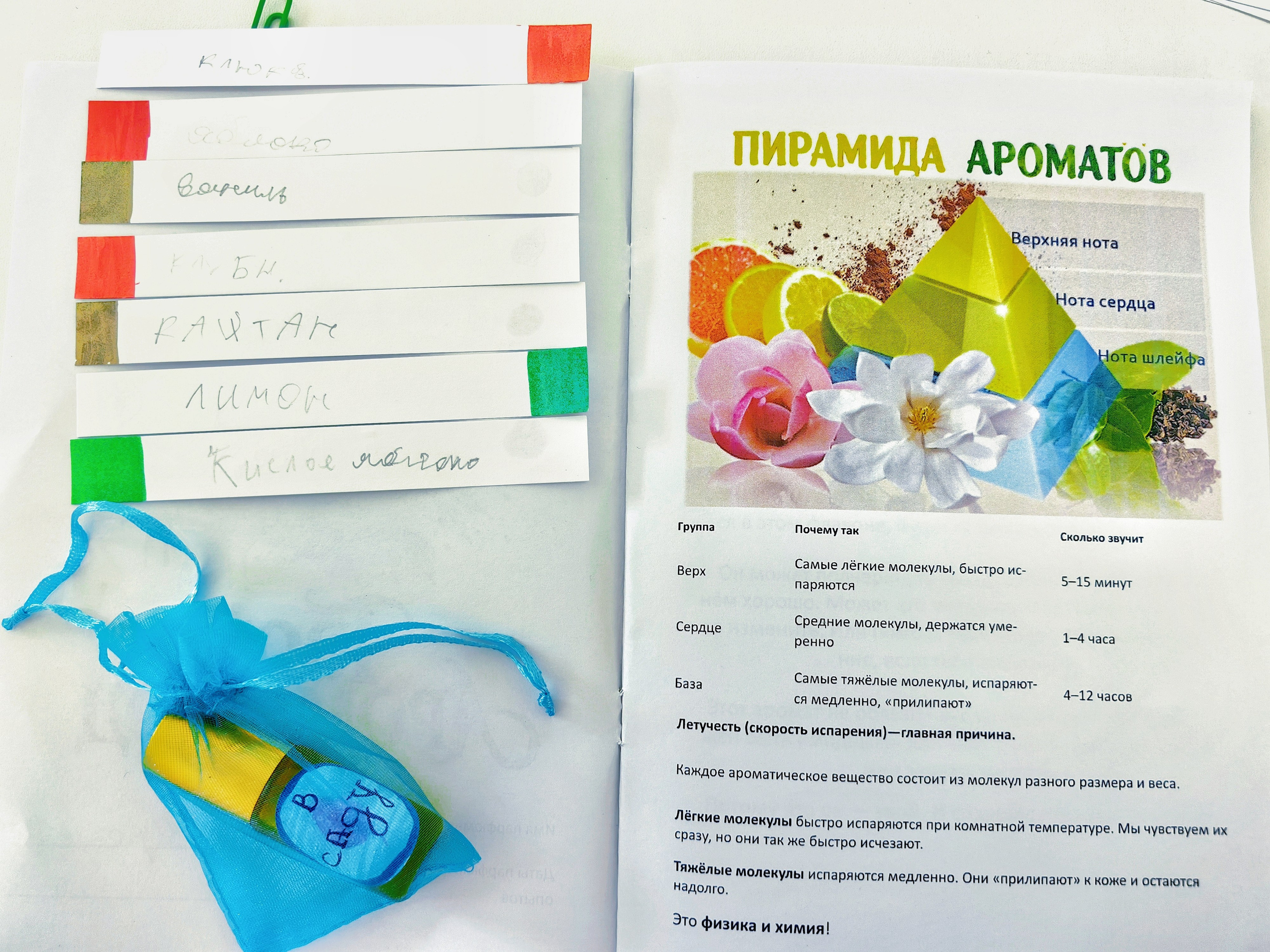 Парфюмерный мастер-класс 15 и 16 июля. Школа для девочек во Владивостоке — Само Совершенство