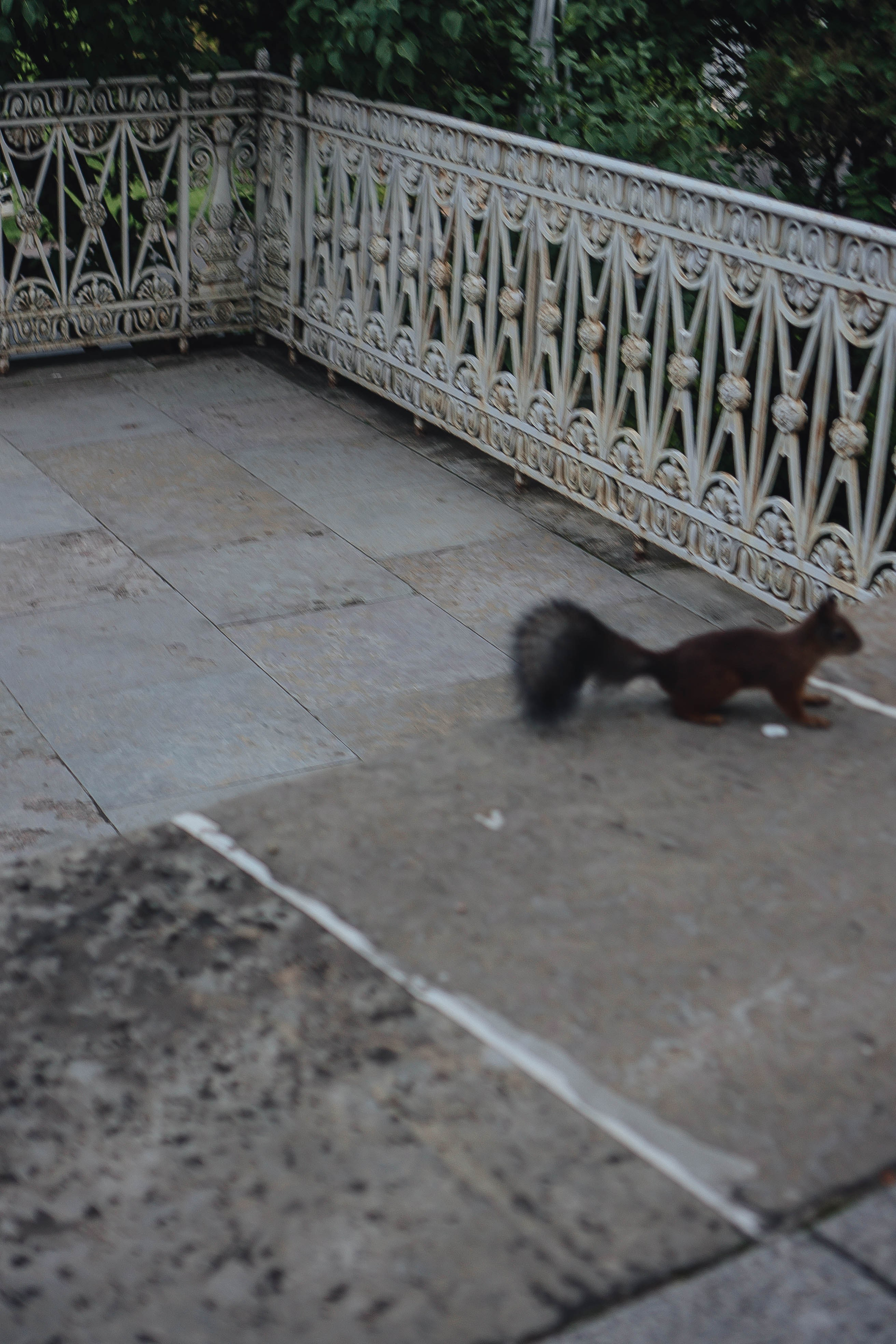 СВАДЕБНАЯ СЬЕМКА НА РАССВЕТЕ НА ЕЛАГИНОМ ОСТОРОВЕ. Профессиональный фотограф, Санкт-Петербург — Виктория Богомолова