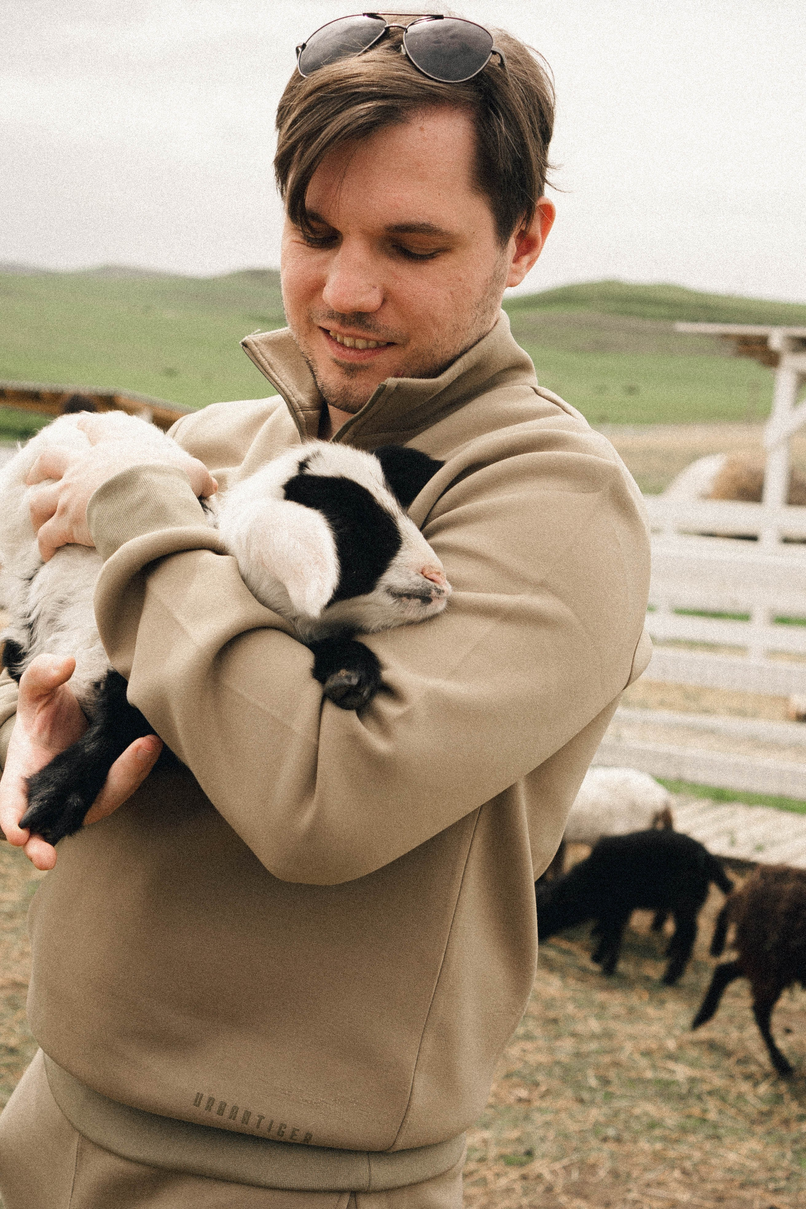 Ферма Альпак. Профессиональный фотограф, Санкт-Петербург — Виктория Богомолова