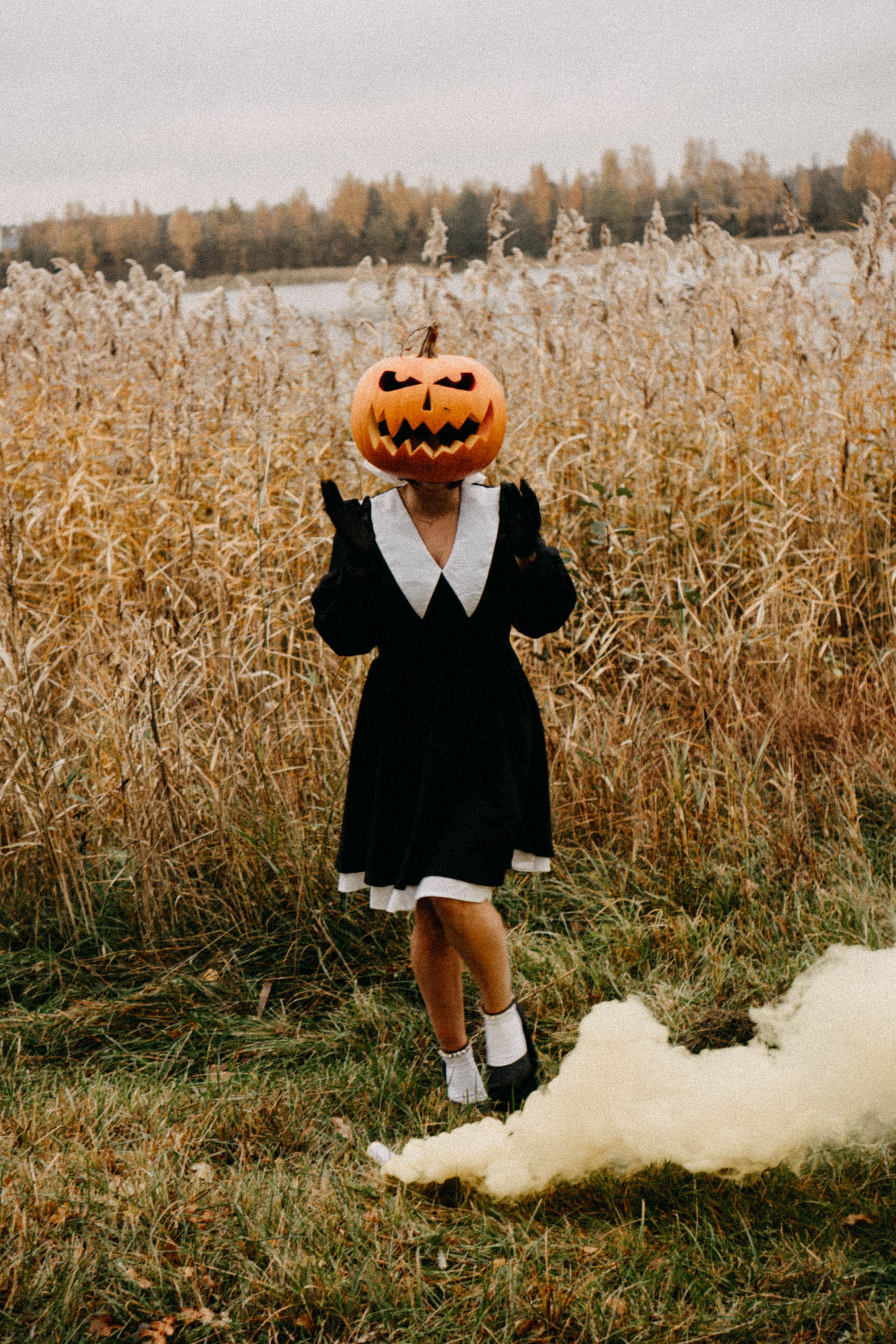 Осеняя. Профессиональный фотограф, Санкт-Петербург — Виктория Богомолова