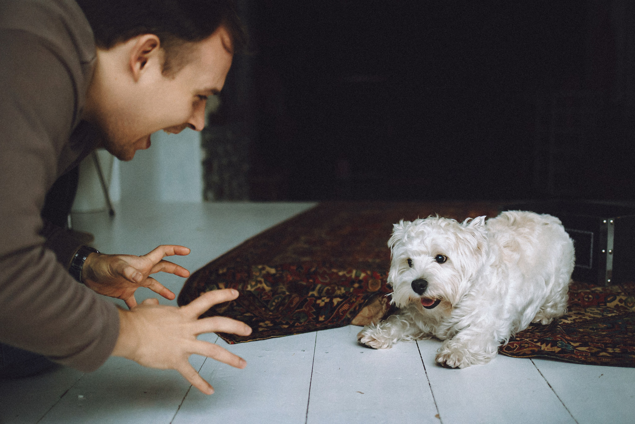 Вика, Глеб и Тори