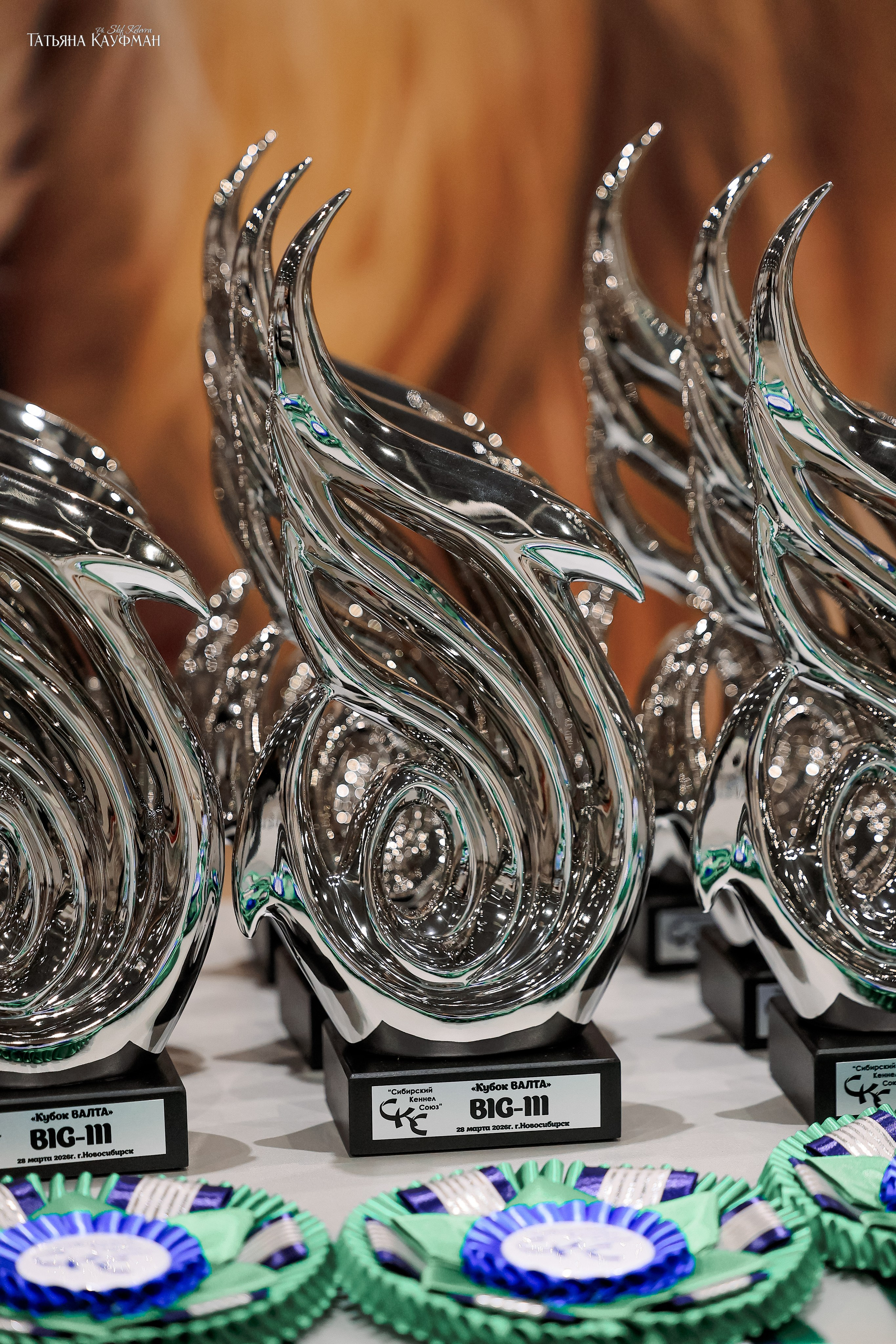 28-29.03.2026 Рейтинговая выставка в Новосибирске. Фотограф Анималист из Новосибирска Татьяна Кауфман