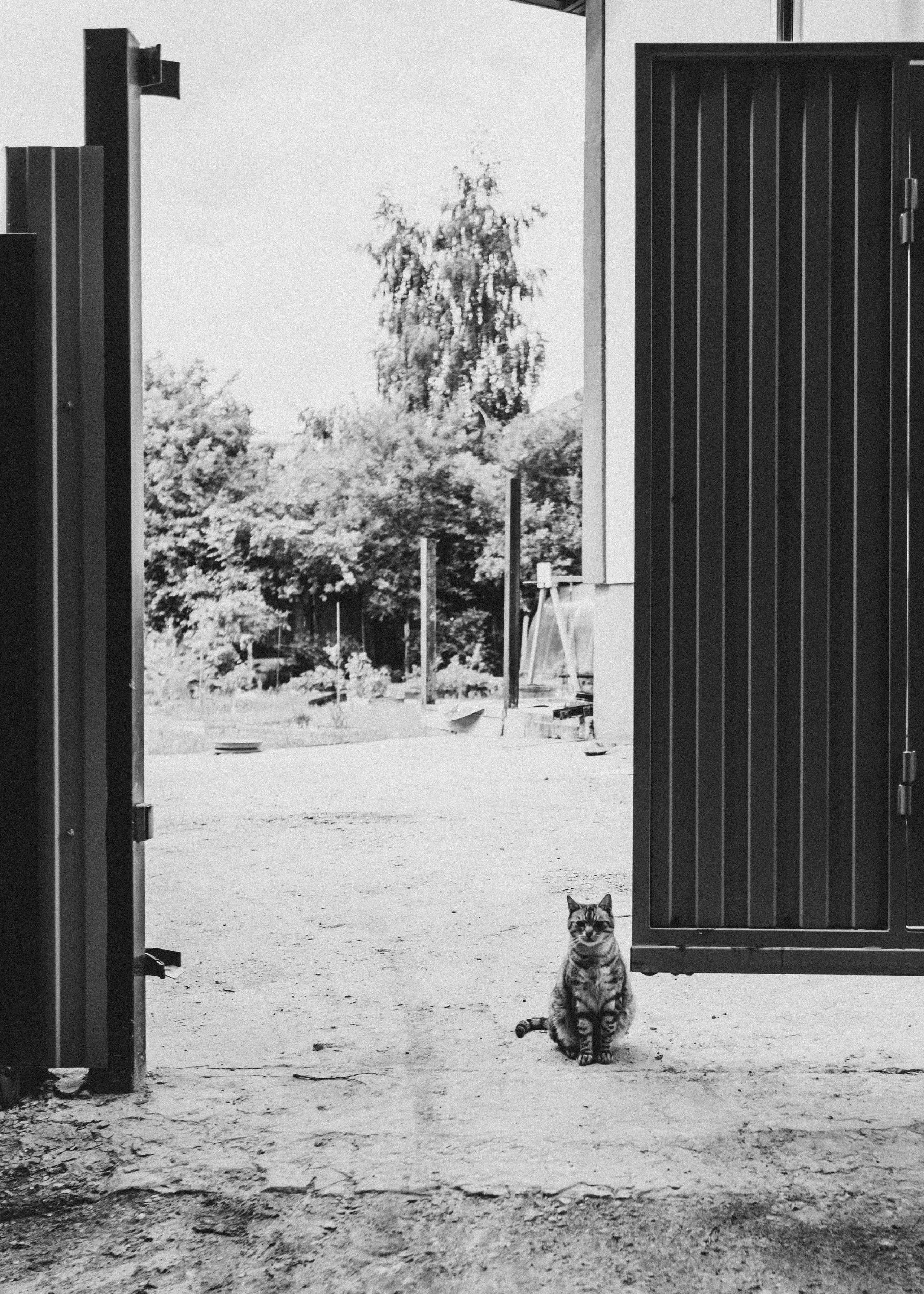Ефросинья родилась. Семейный фотограф Москва и Домодедово Ольга Игнатова