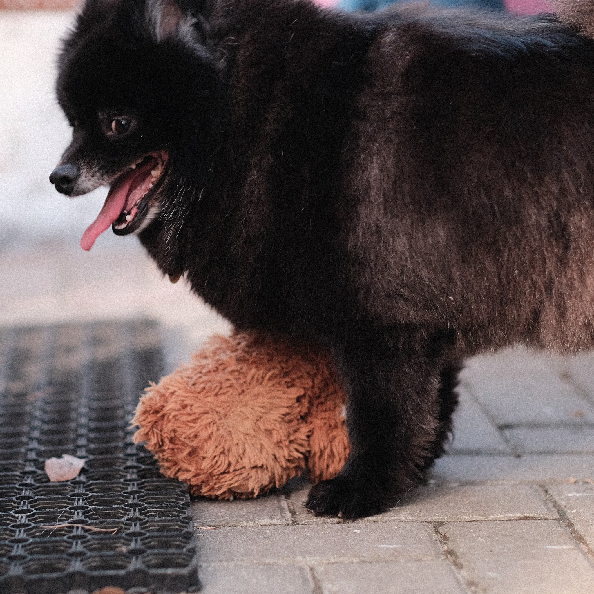 Аляска, Чарли, Пати и их люди. Дмитрий Бречалов