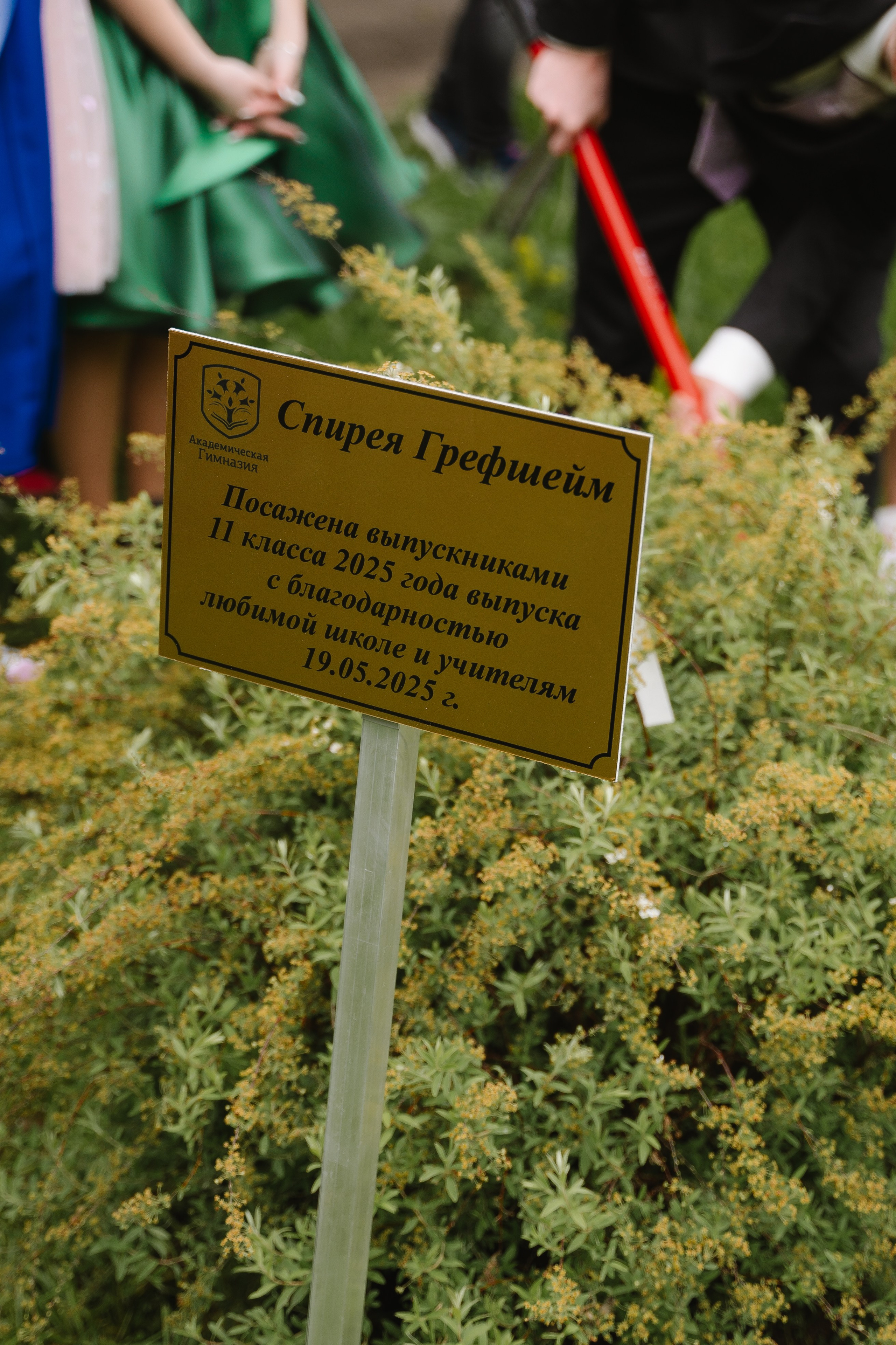 Академическая гимназия 11 класс|последний звонок. Фотограф — Ася Орехова