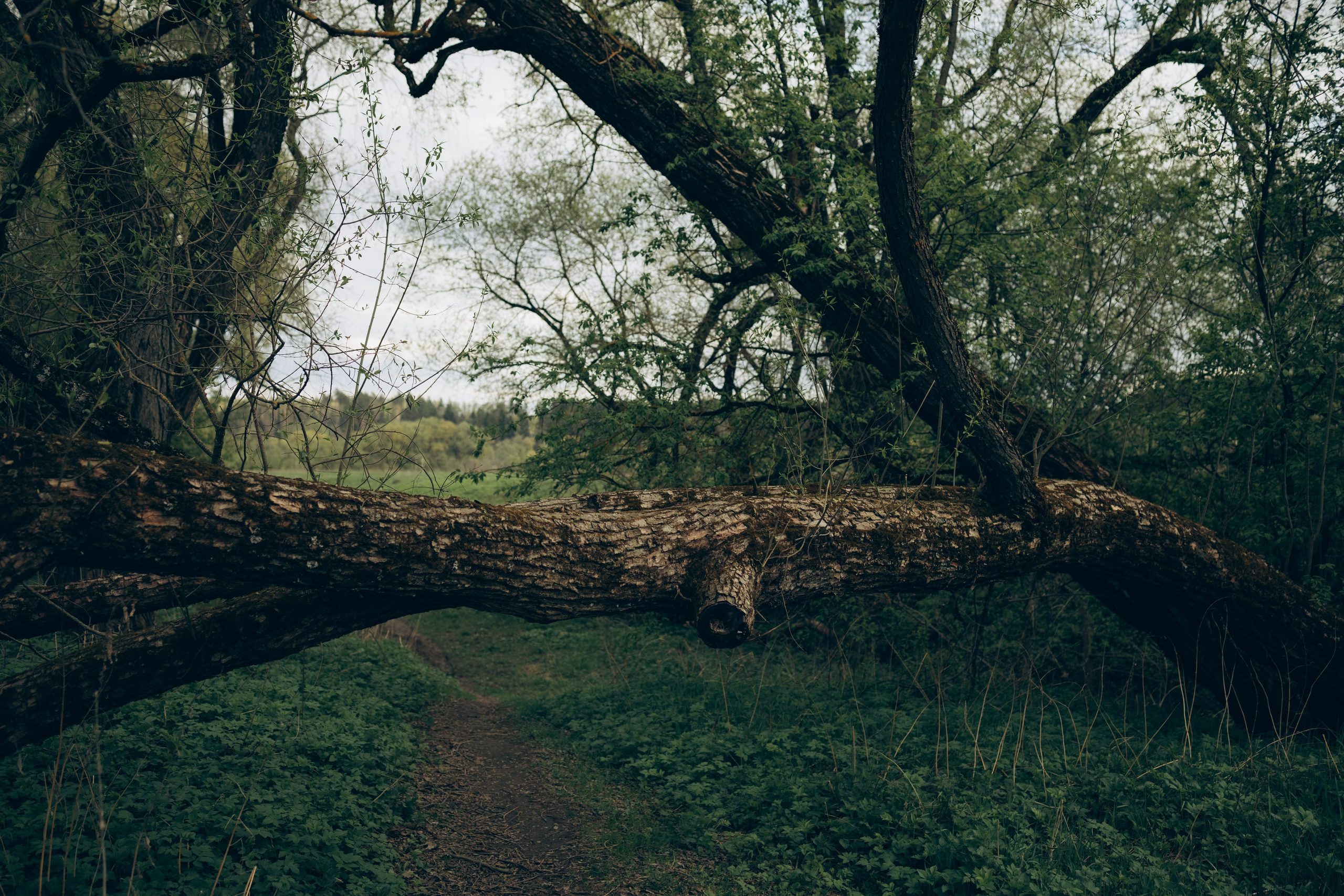 Istra. Женский фотограф Истра