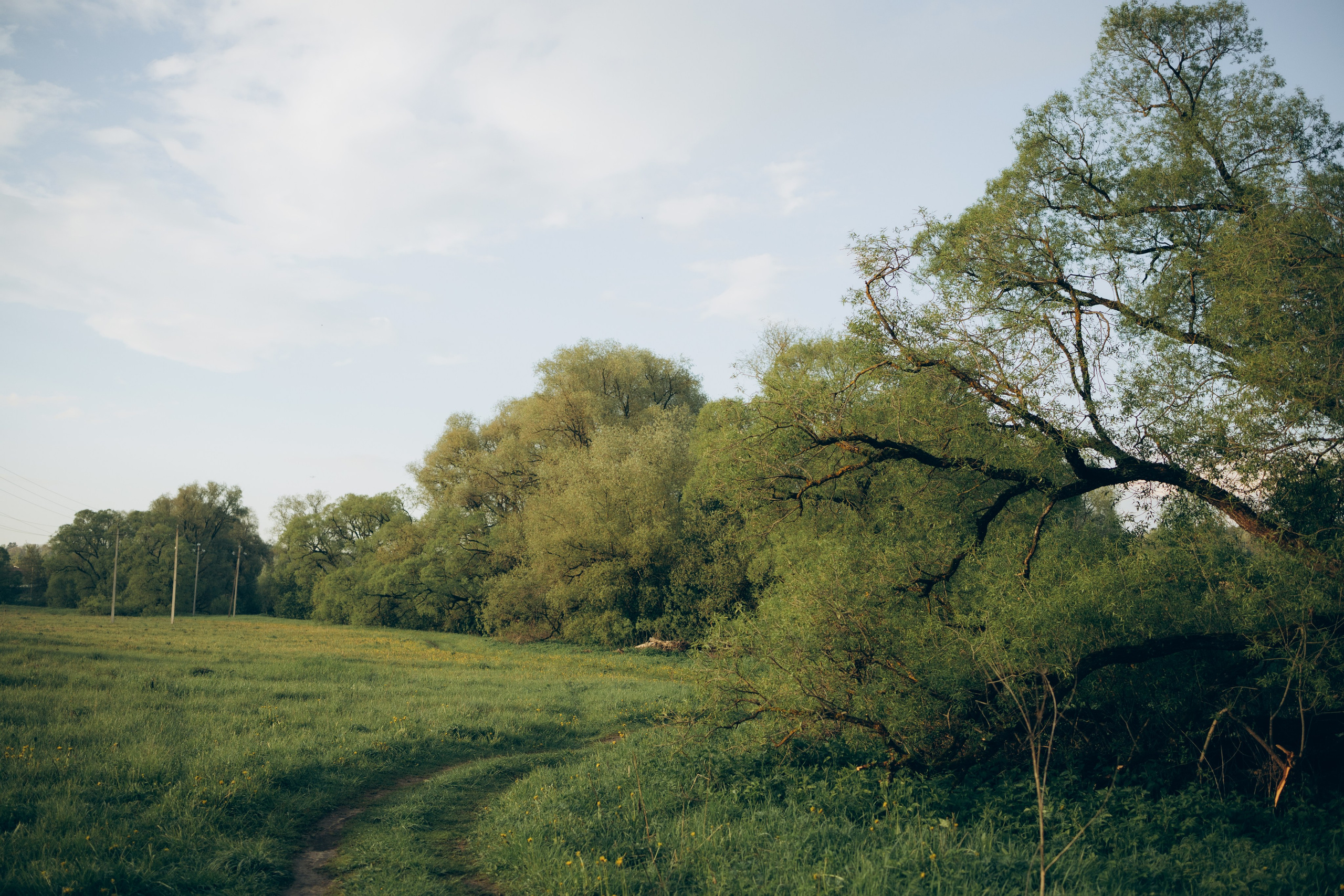 Istra. Женский фотограф Истра