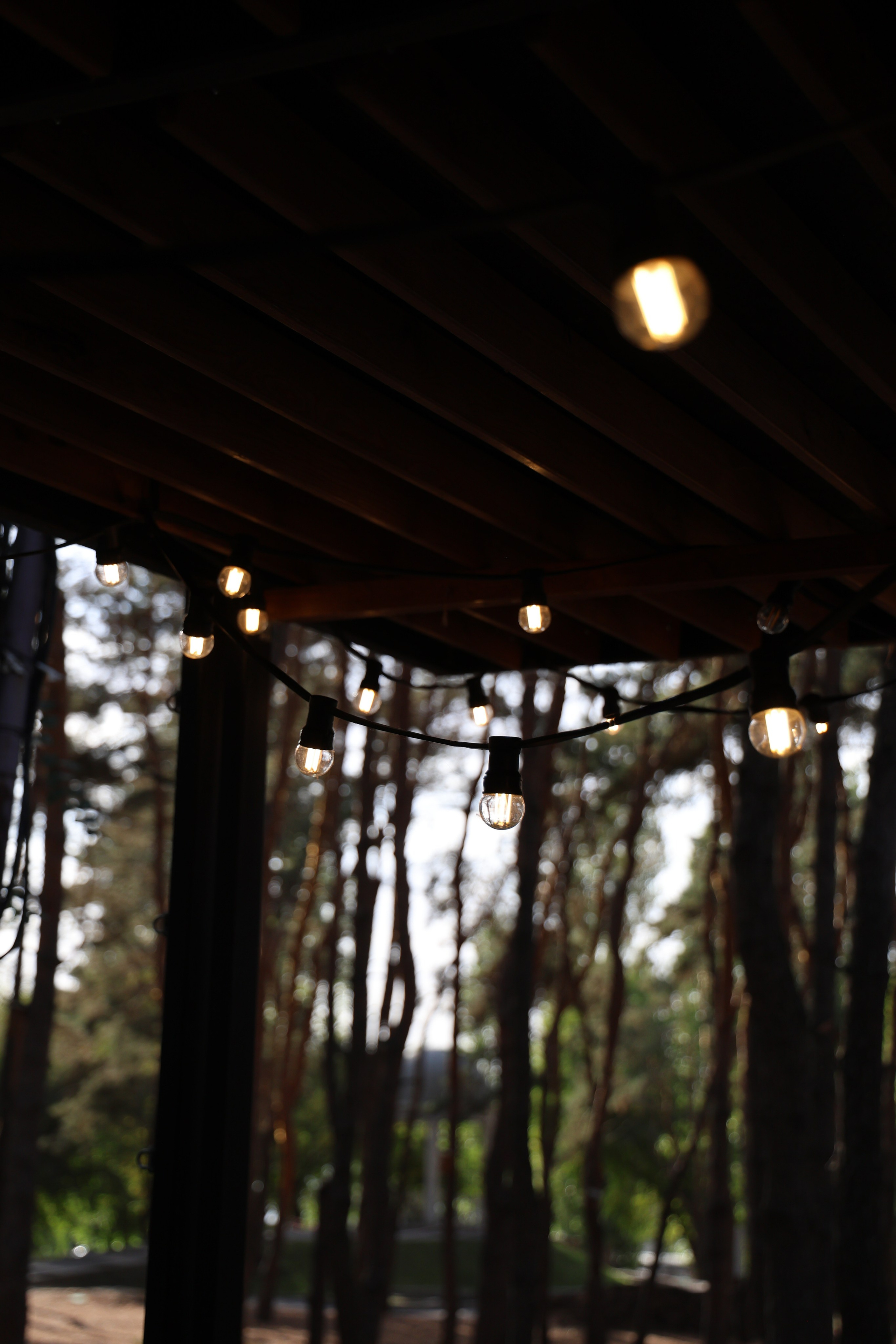 Love-story. Фотограф | Анастасия Китаева | Воронеж | Москва