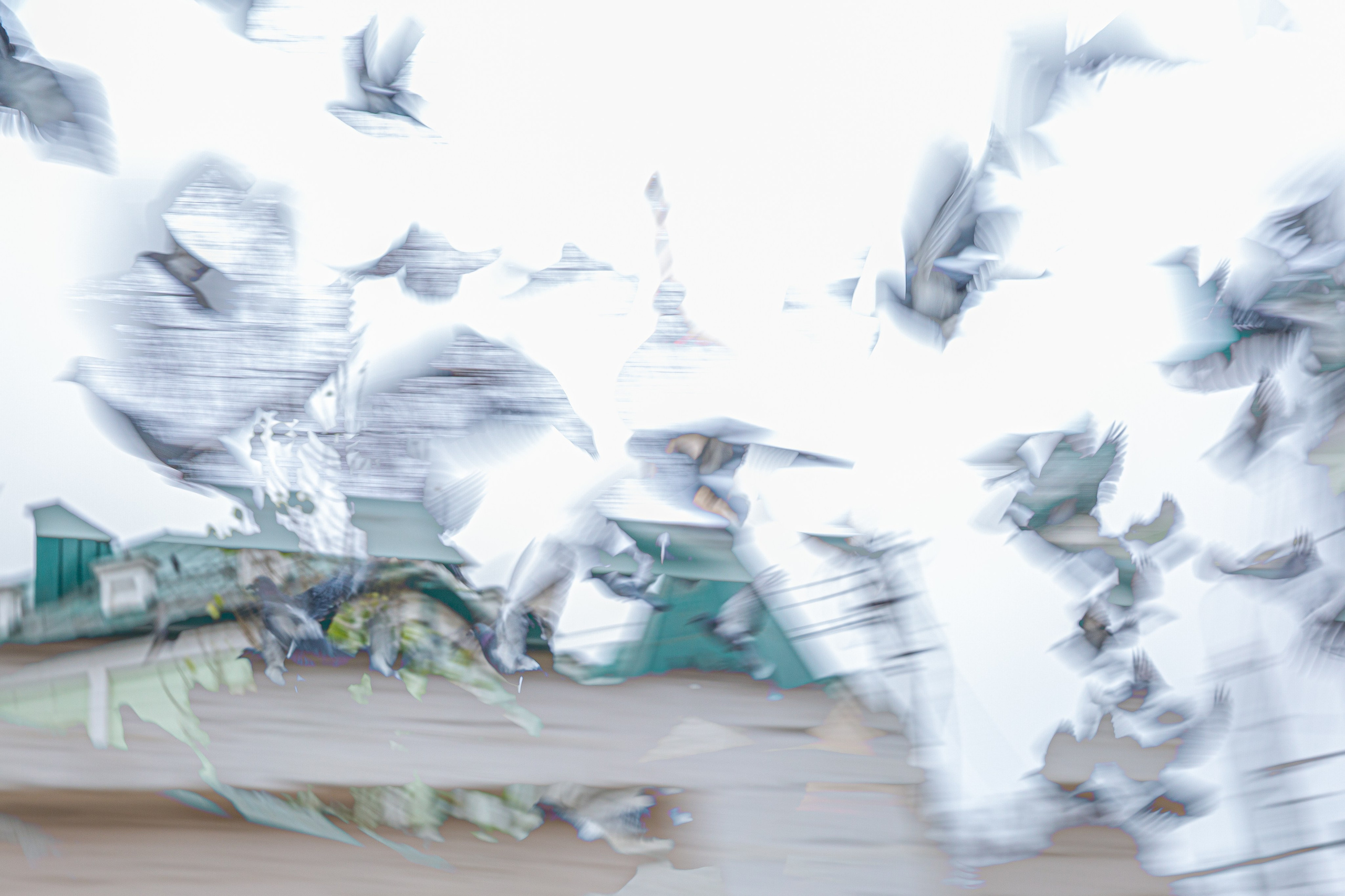 СТРОФА 2 — ЦВЕТОВЕДЕНИЕ. Photographer Anna Arzamastseva