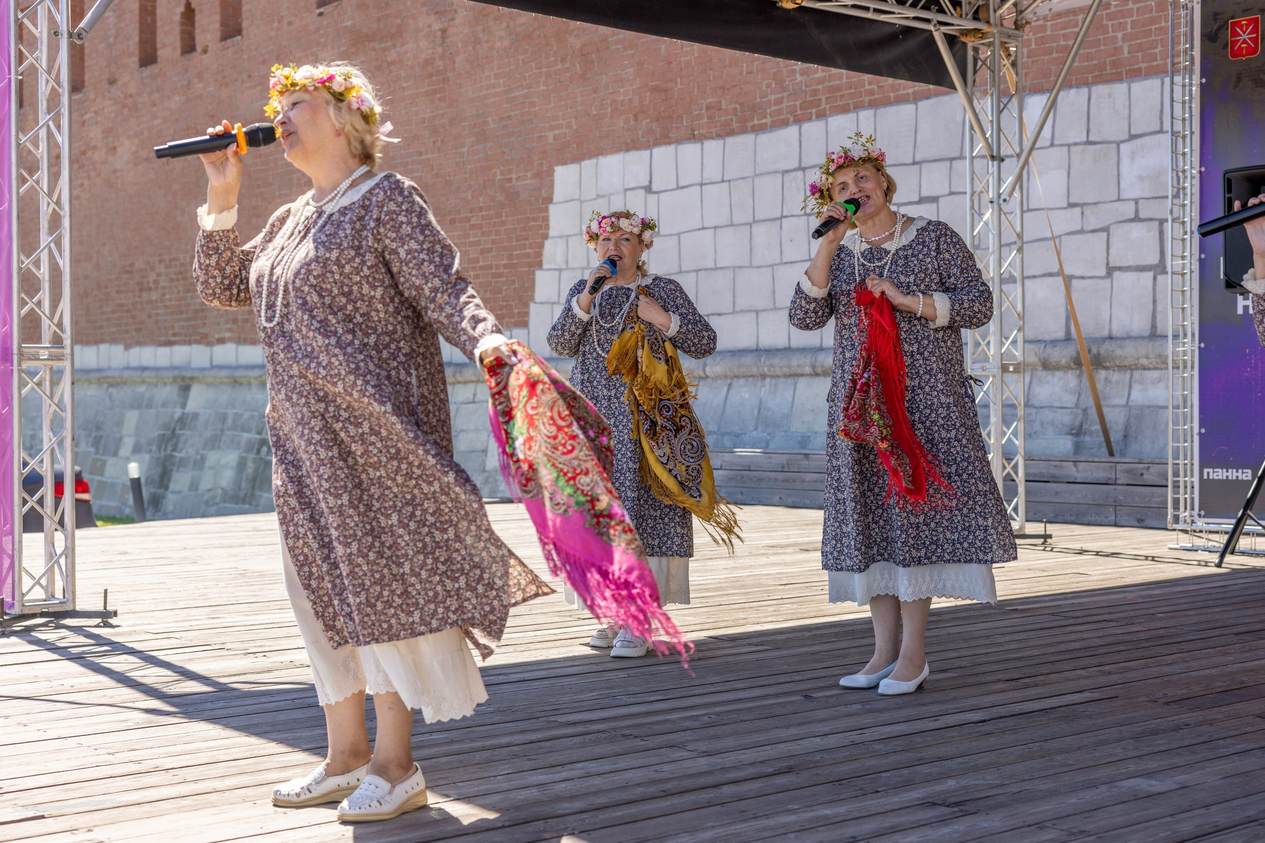 Фестиваль «Ромашковый хоровод». Северная ходьба. Фотограф в Туле Крупский АнДРей. Фотостудия «КАДР71» в Туле