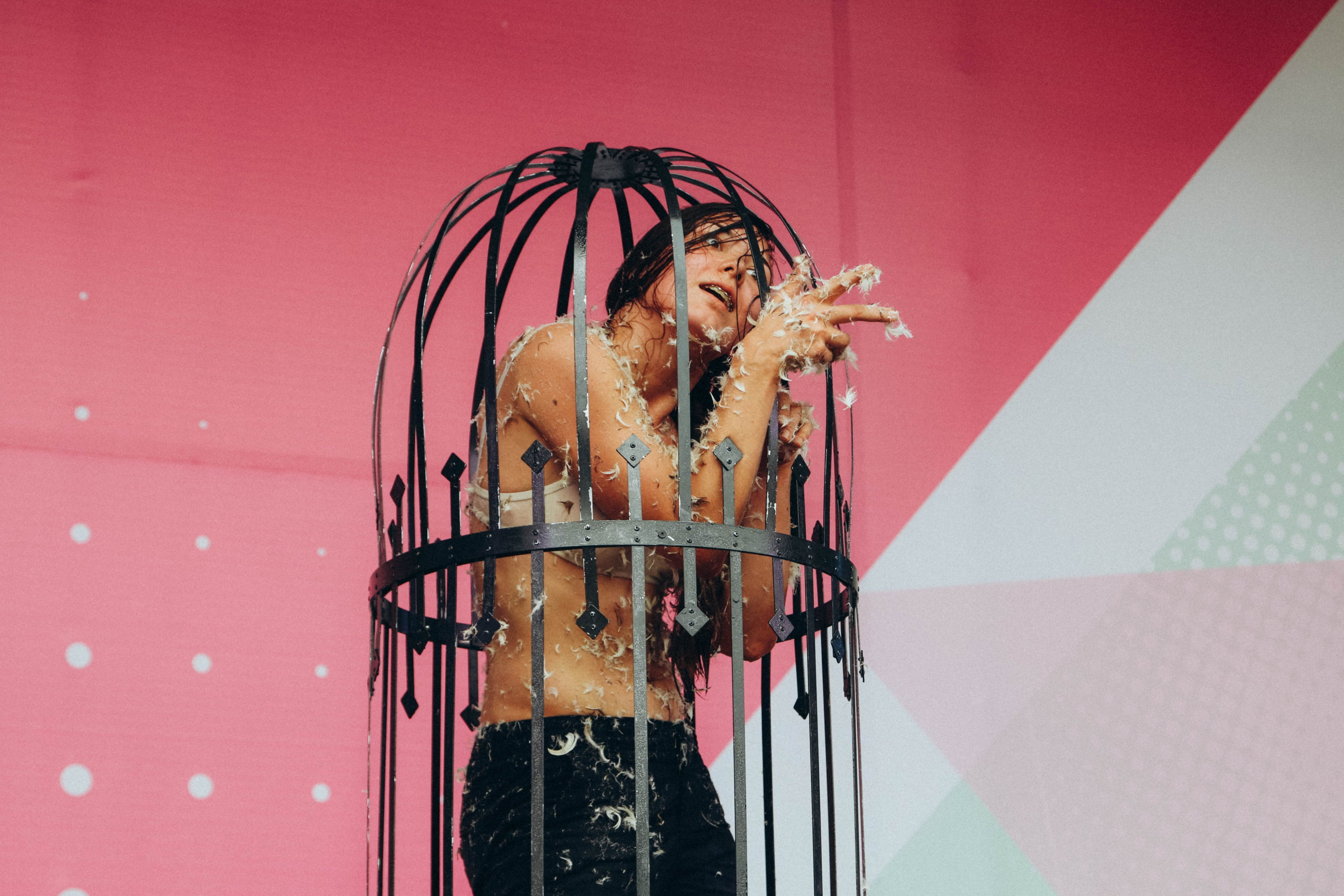 Фестиваль LifePicnik на Елагином острове. Репортажный фотограф во Всеволожске и Санкт-Петербурге Владимир Капустин