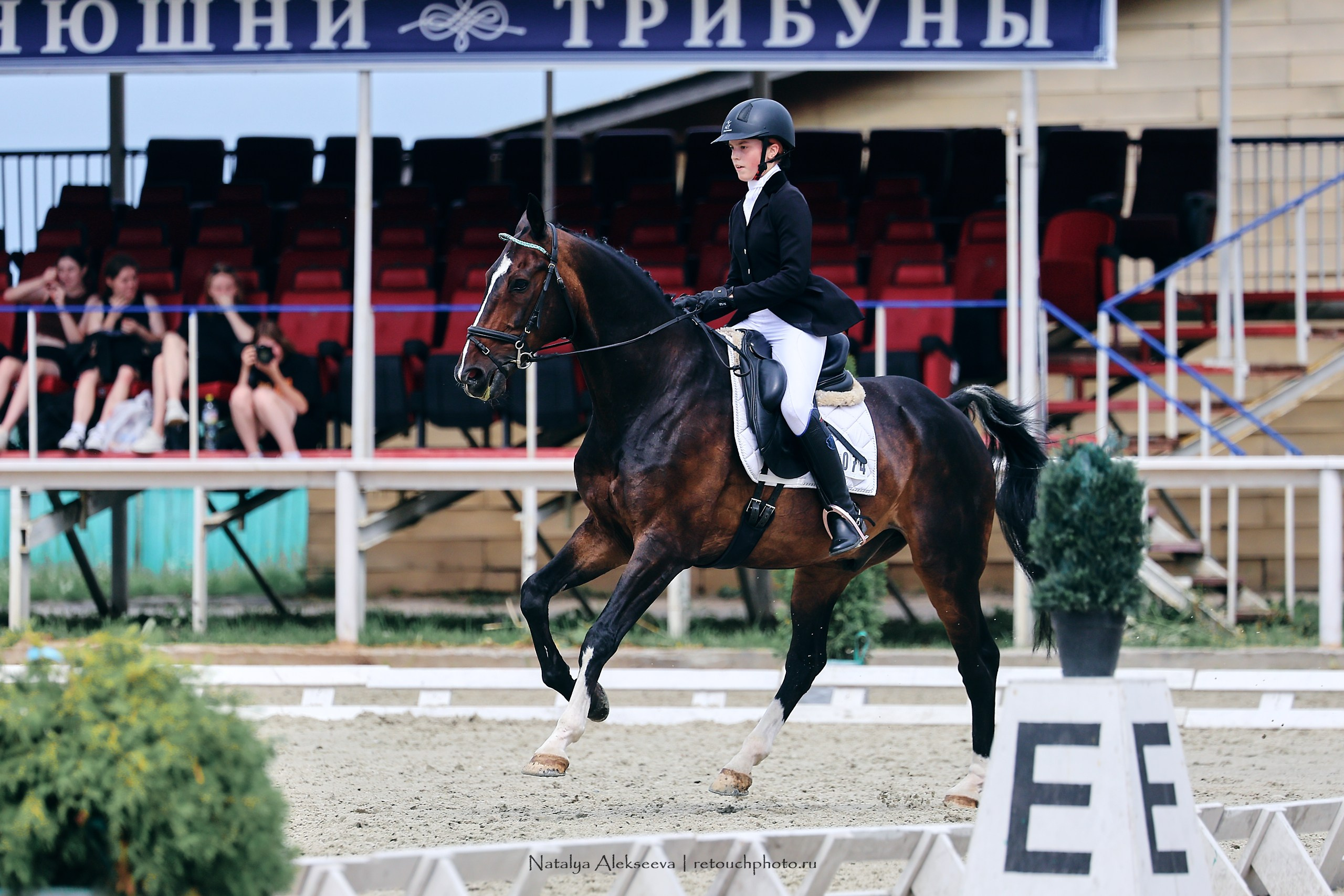 Личный ЧР по выездке, КСК Конаковские конюшни | 08'2023. Репортажный фотограф и ретушер в Москве Наталья Алексеева