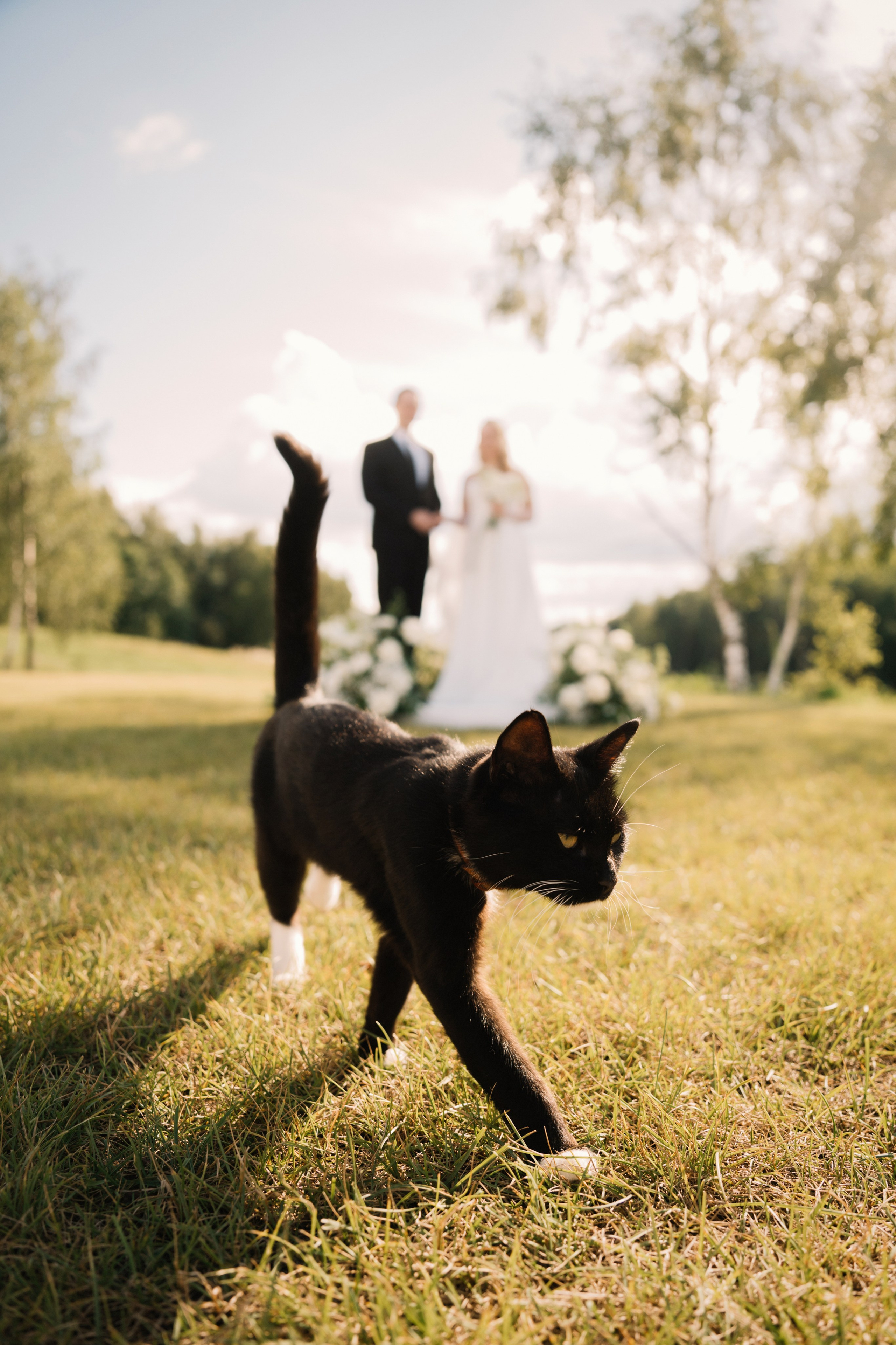 Младшие братья. Свадебный фотограф в Калуге Алексей Климов