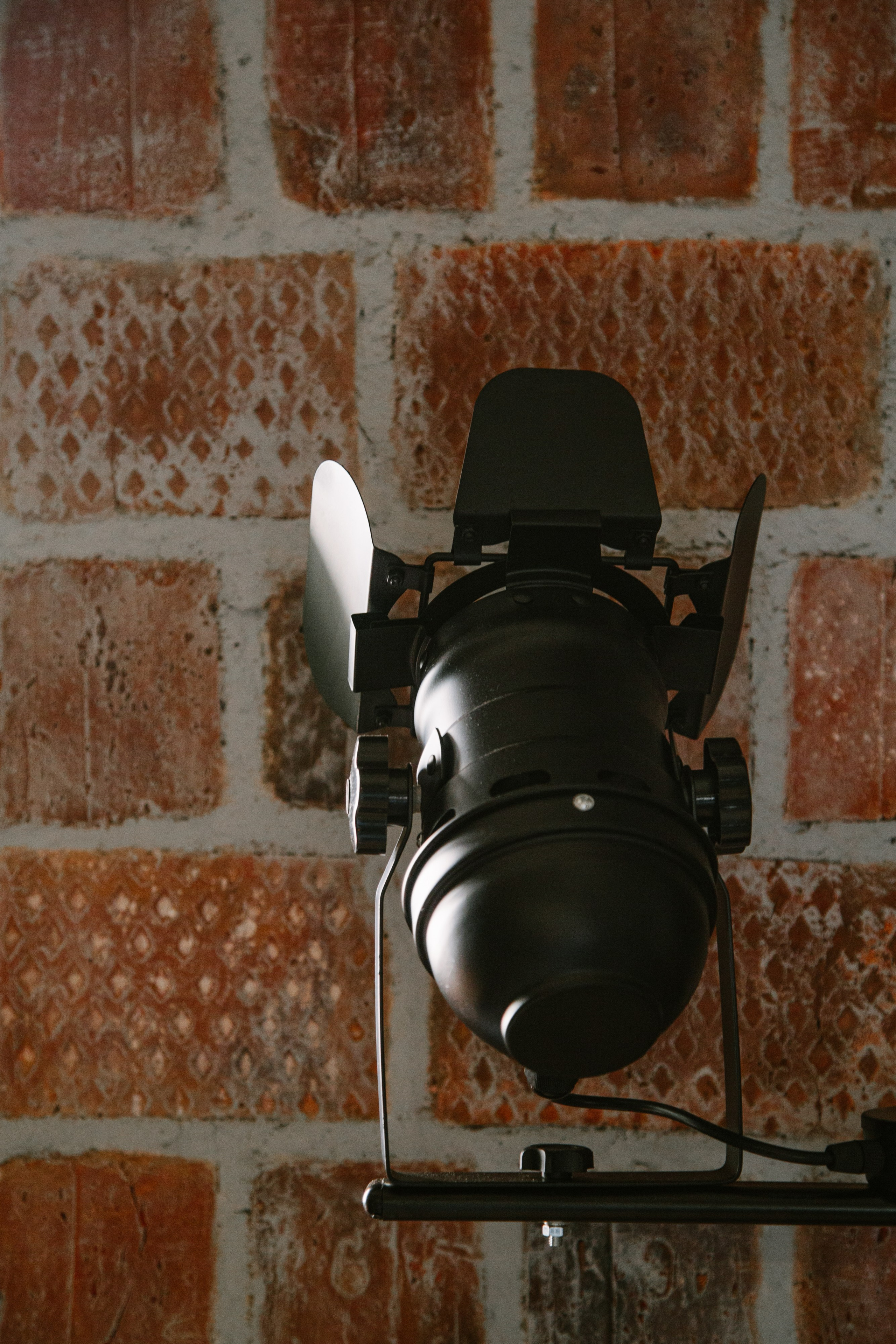 Кошкин дом. Фотограф Оля Батист