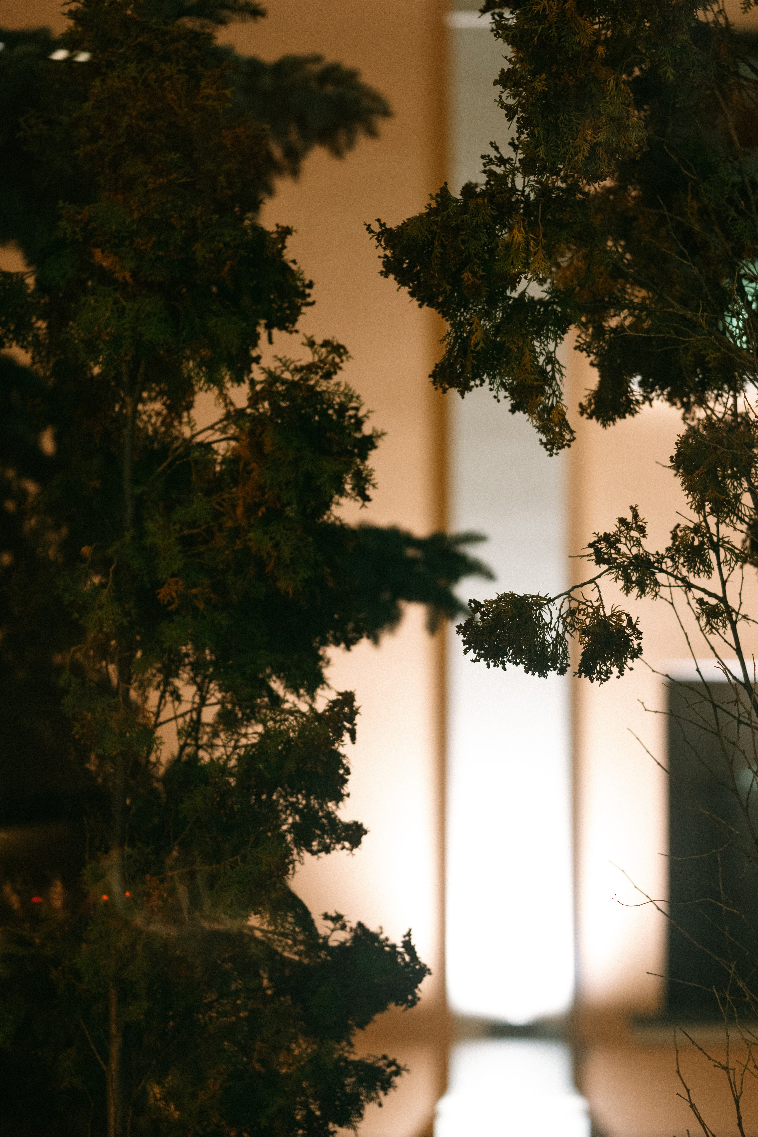 ONE DAY IN JAPAN. Свадебный и семейный фотограф Никита Корохов