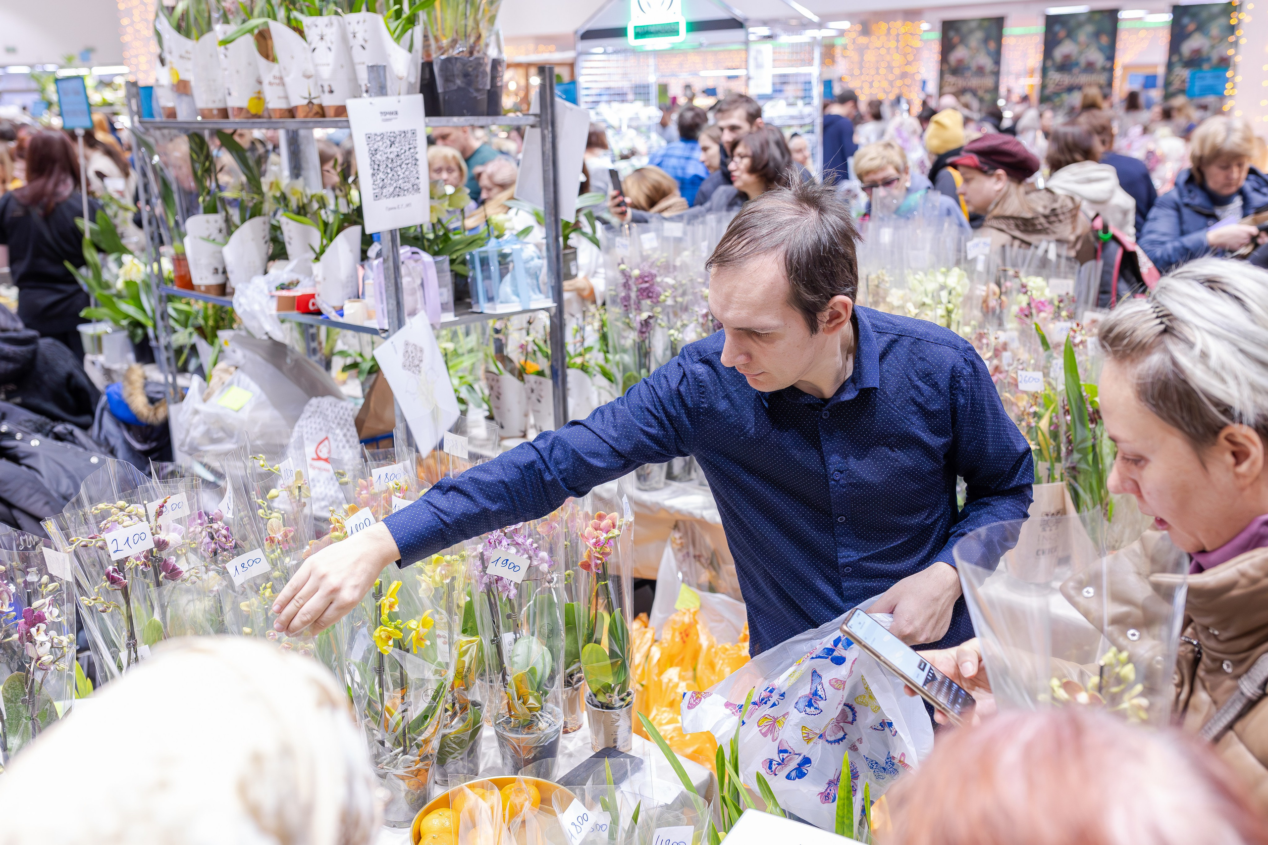 Орхидиум 12.2025. Александра Куликова фотограф, Москва