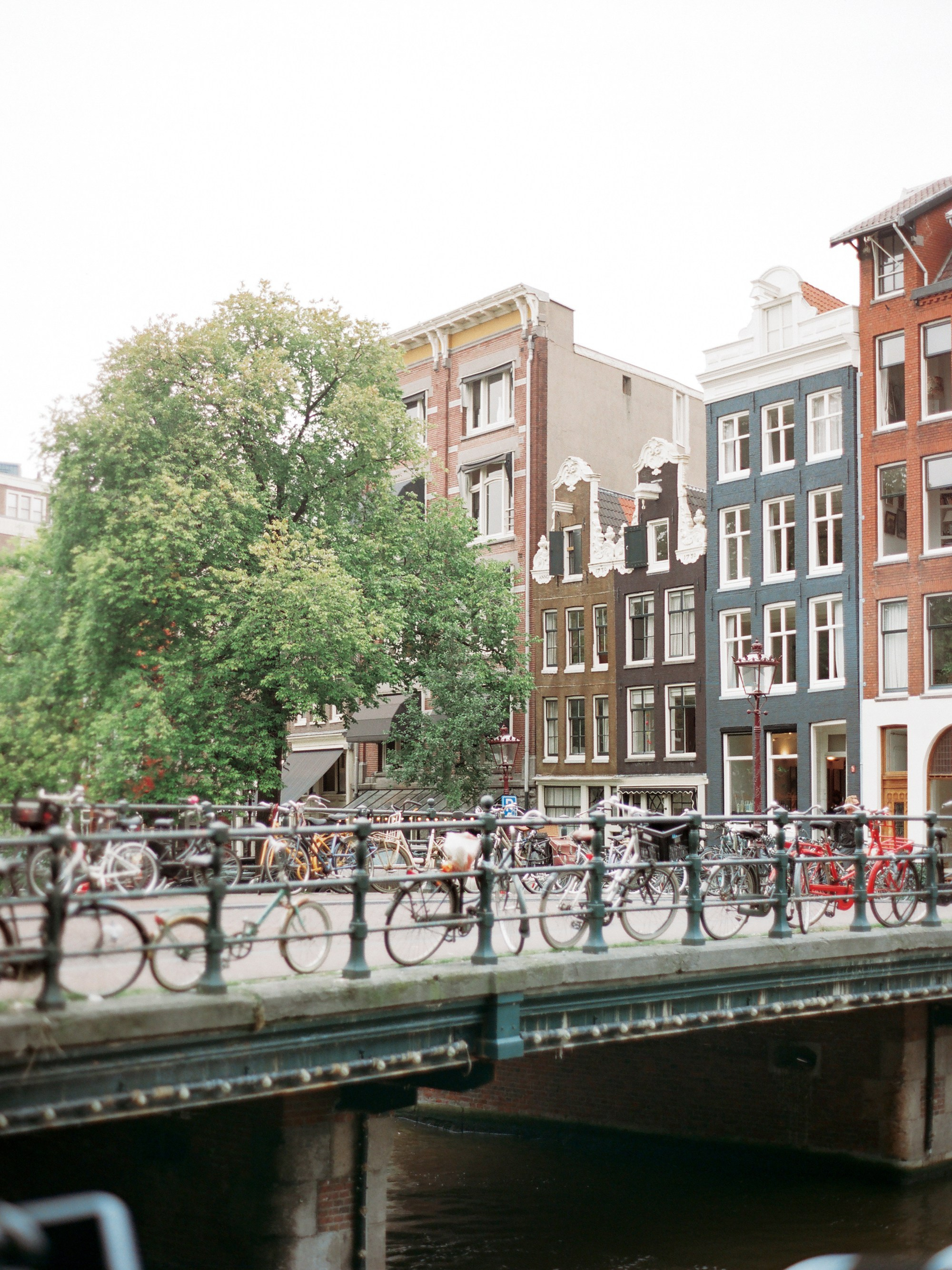 Лиза и Юрий, годовщина в Амстердаме. Изящная фотография | Ксения Милушкина