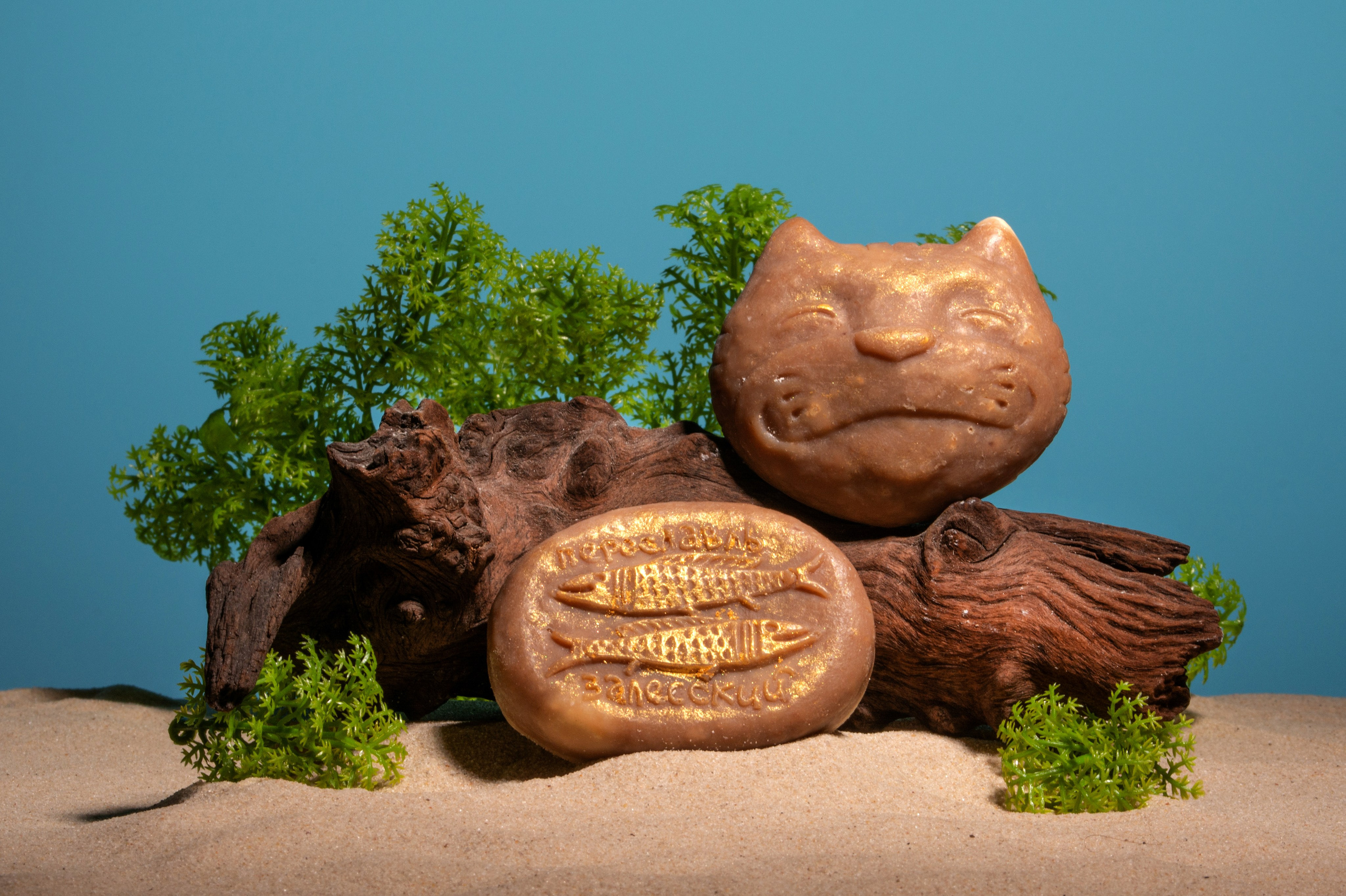 Мыло. Портретная и репортажная съёмка