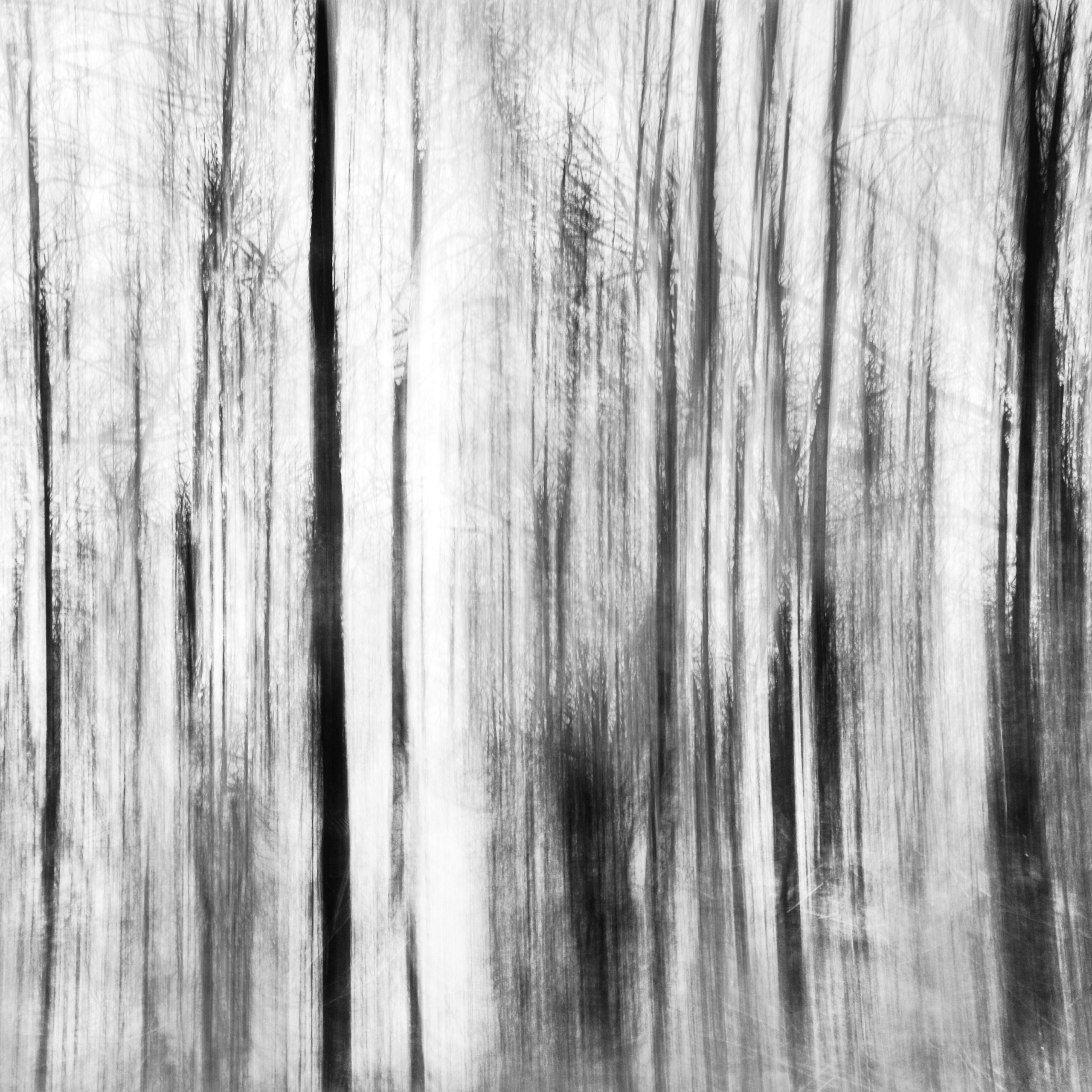 Primavera. Metagraphy