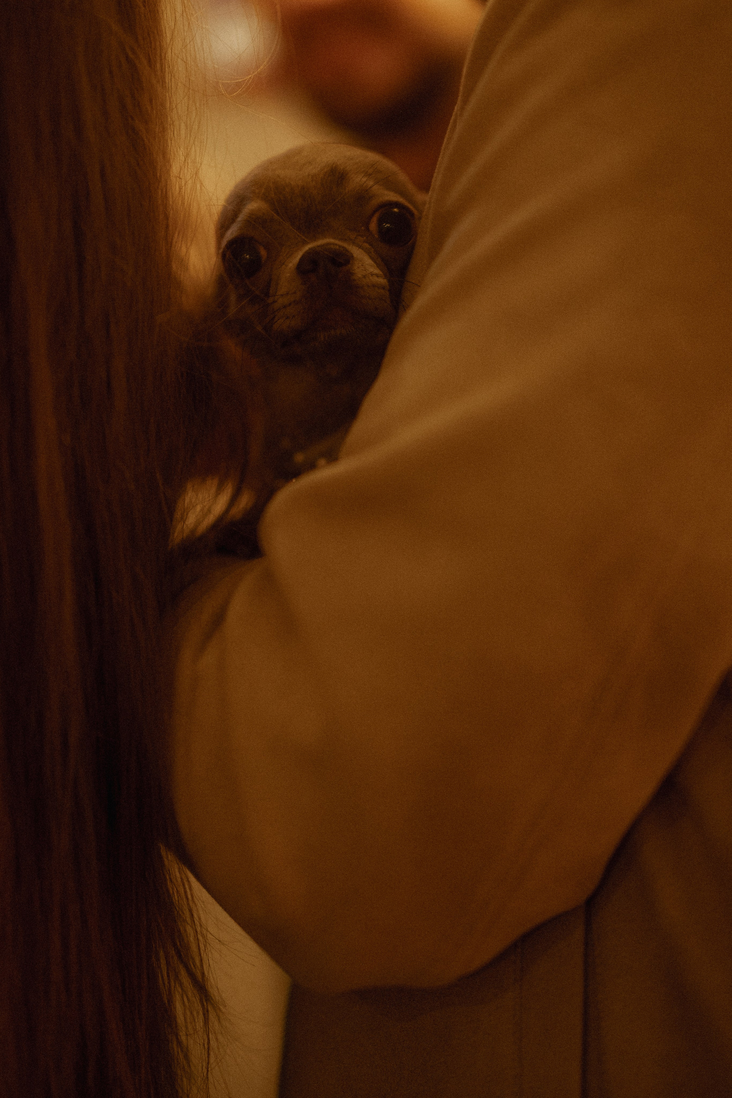 The cutiest. Сентиментальная свадебная фотография