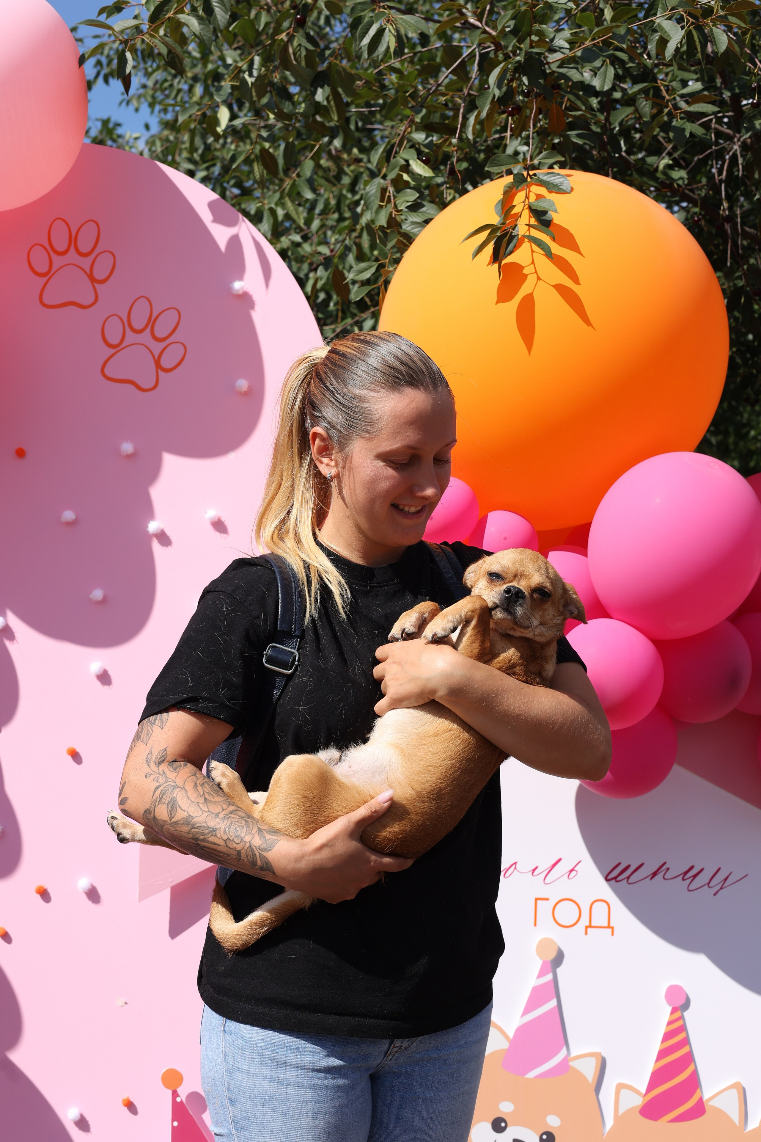 Апероль 1 годик. Фотограф Санкт-Петербург