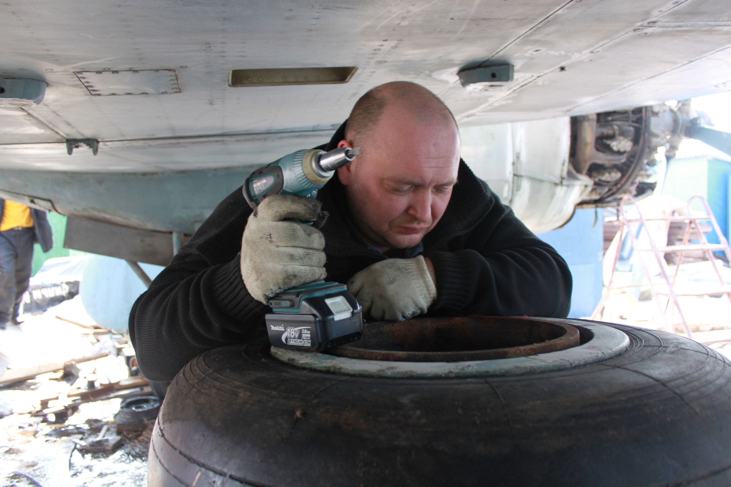 Ил-14Т «Голубая Мечта» работы в Тушино (2011 г.). Фотоальбом показывающий увлекательный мир авиации и мир медведей Андрея Иванова