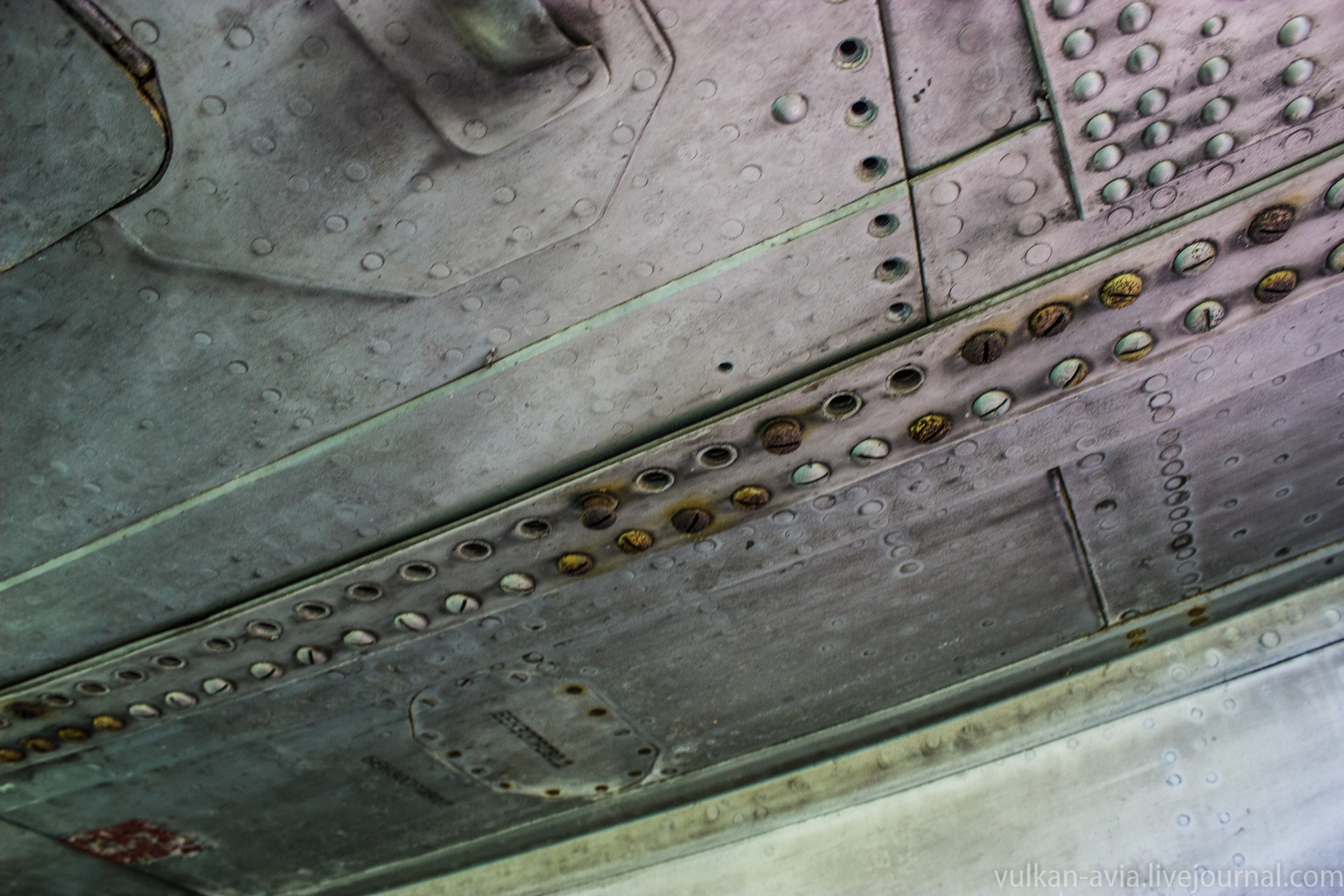 Ил-14 (Пермь, Фролы). Фотоальбом показывающий увлекательный мир авиации и мир медведей Андрея Иванова