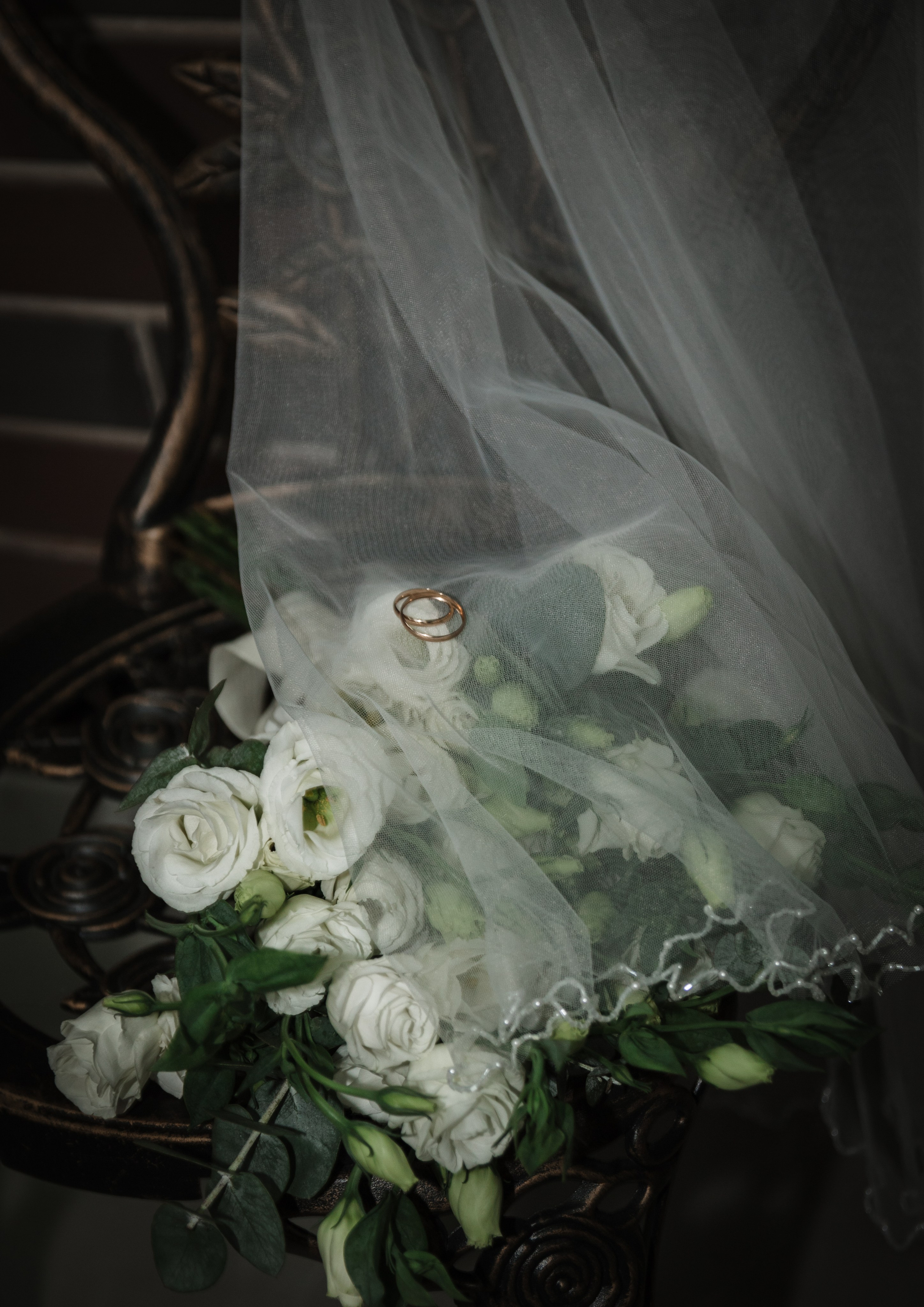 Фотографы. Организатор праздников. Ведущая Марина Гребенникова