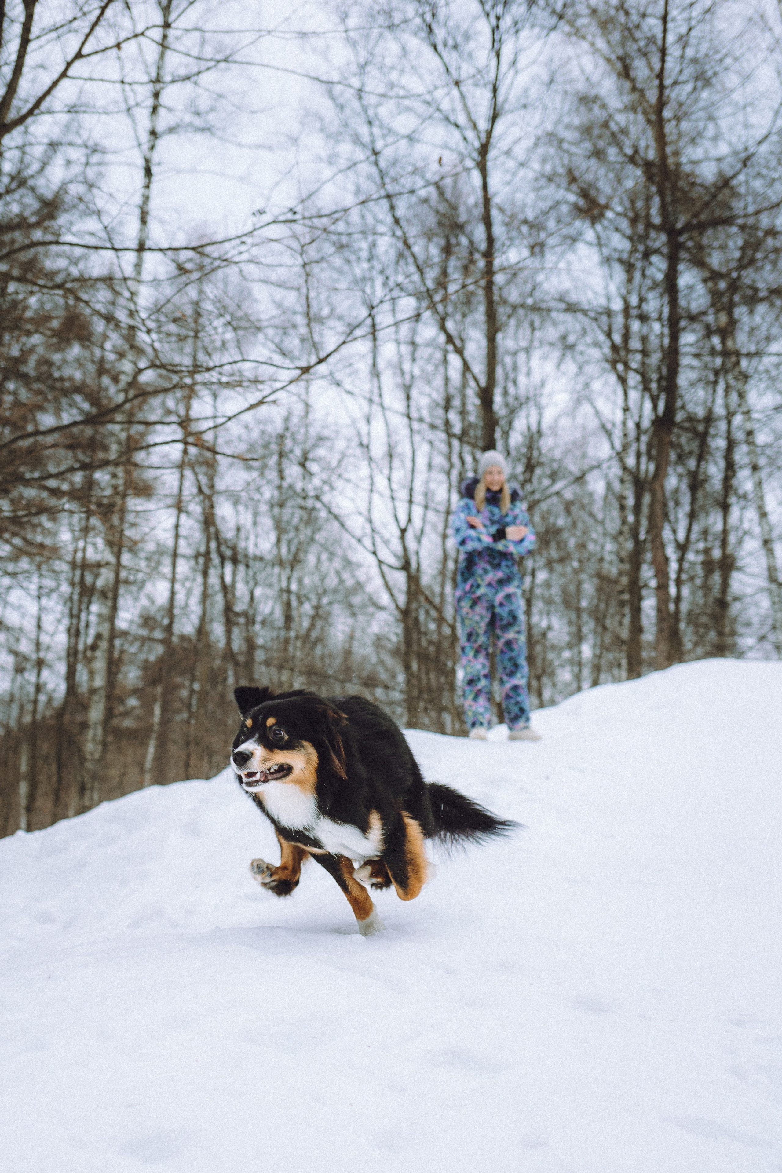 Таня, Ваня и Гром