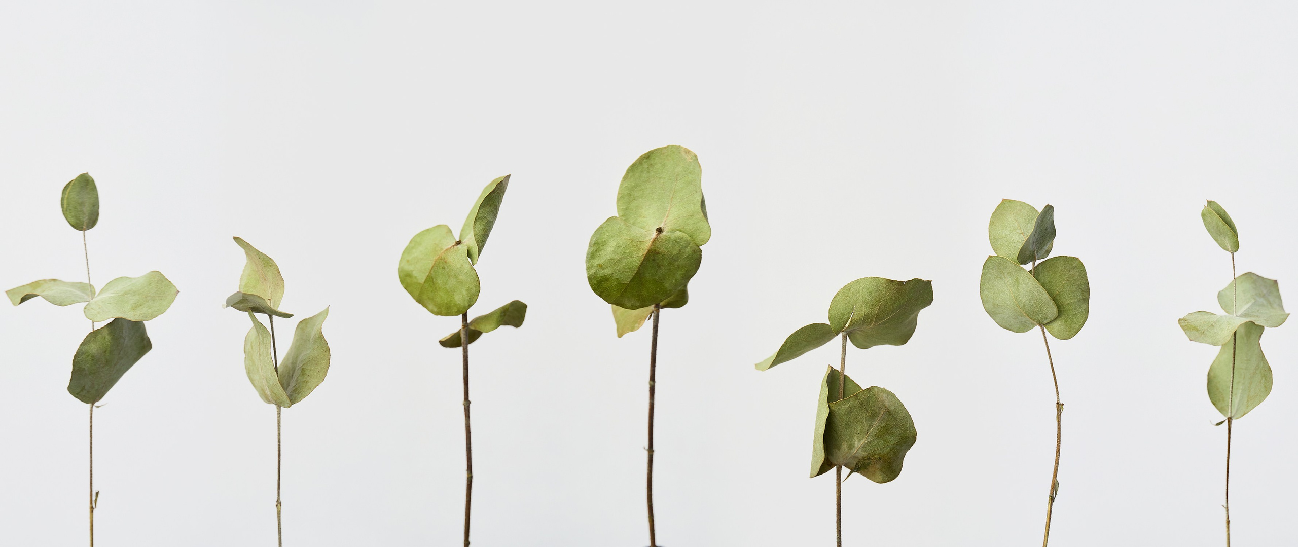 Photographer Pavel Romashchenko