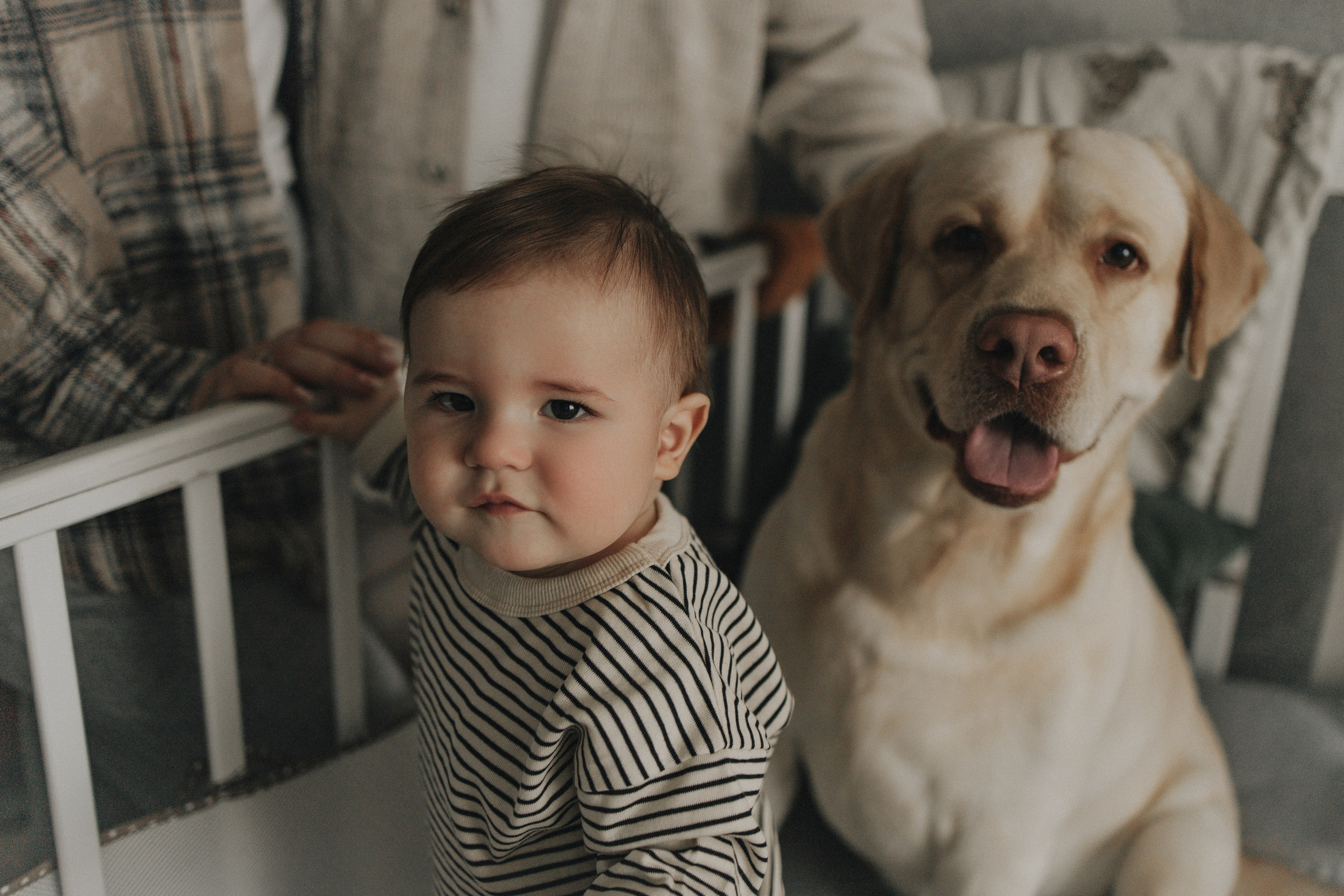Год счастливых дней с тобой. Семейный фотограф Донецк