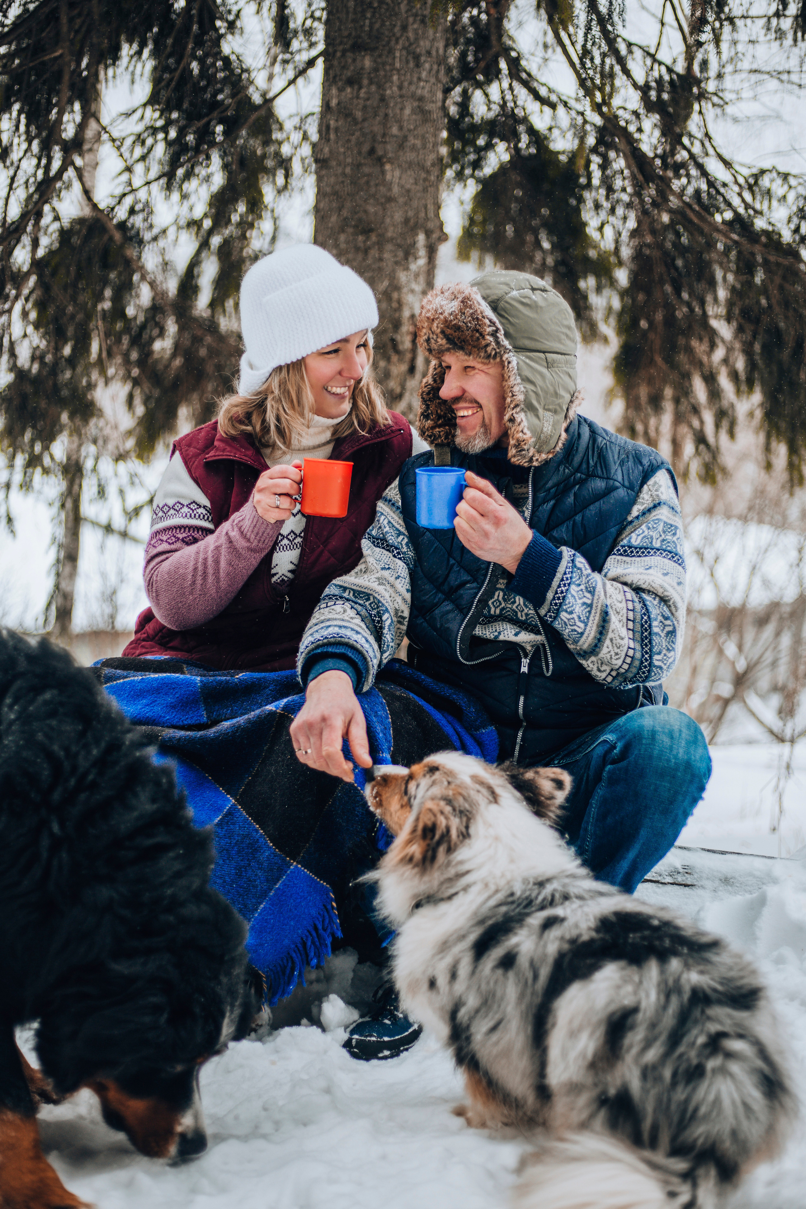 Катя Вова и песики. Свадебный и Семейный фотограф в Москве Александра Вайпер