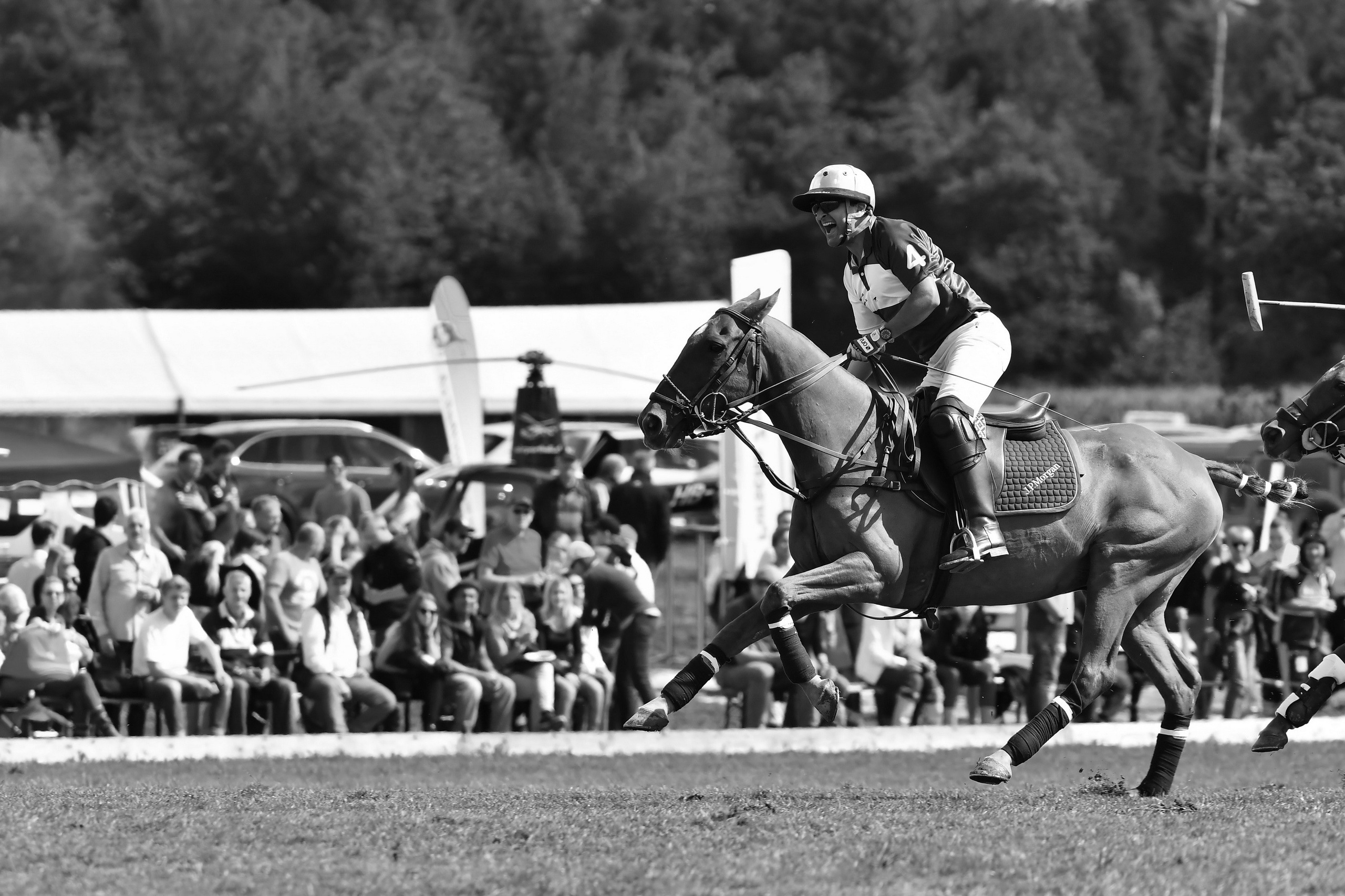 Polo art photos. Art photos of horses — ARTUR BABOEV | Photographer