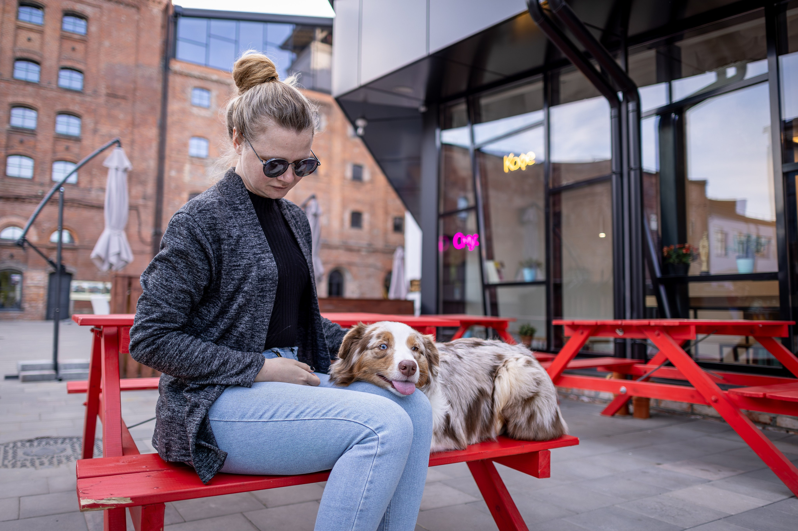 Полли, Австралийская Овчарка. Ирина Голомб|Фотограф-анималист в  Сочи и Калининграде