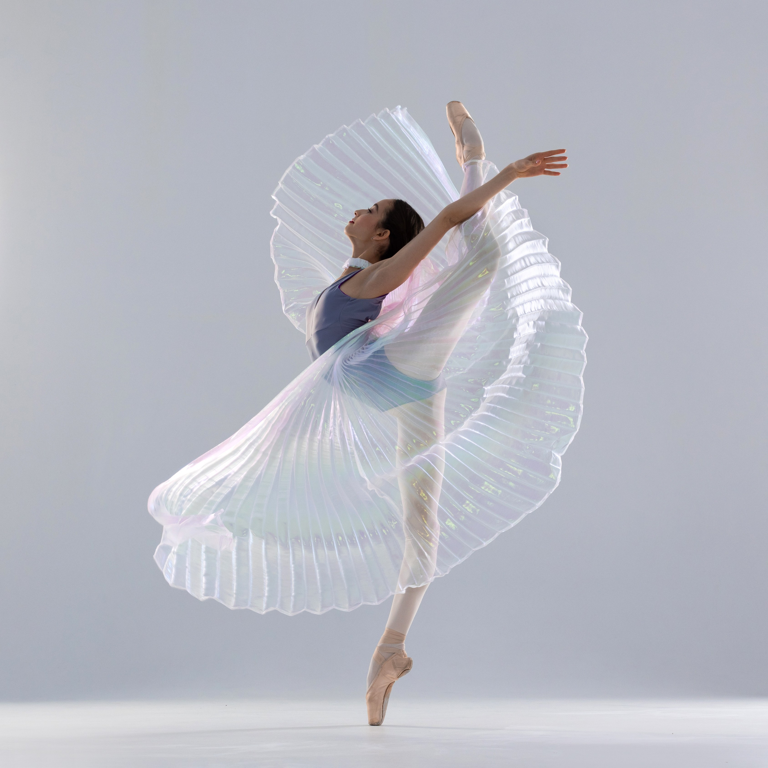 Крылья перламутровые напрокат бесплатно. Балетный фотограф Алина Ханько — Душа Балета