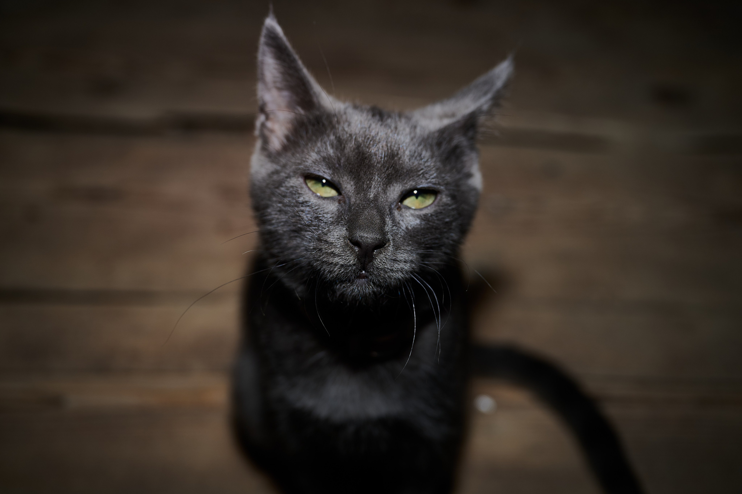 Будни съёмок фотопроекта Территории. Фотограф Роман Адлер