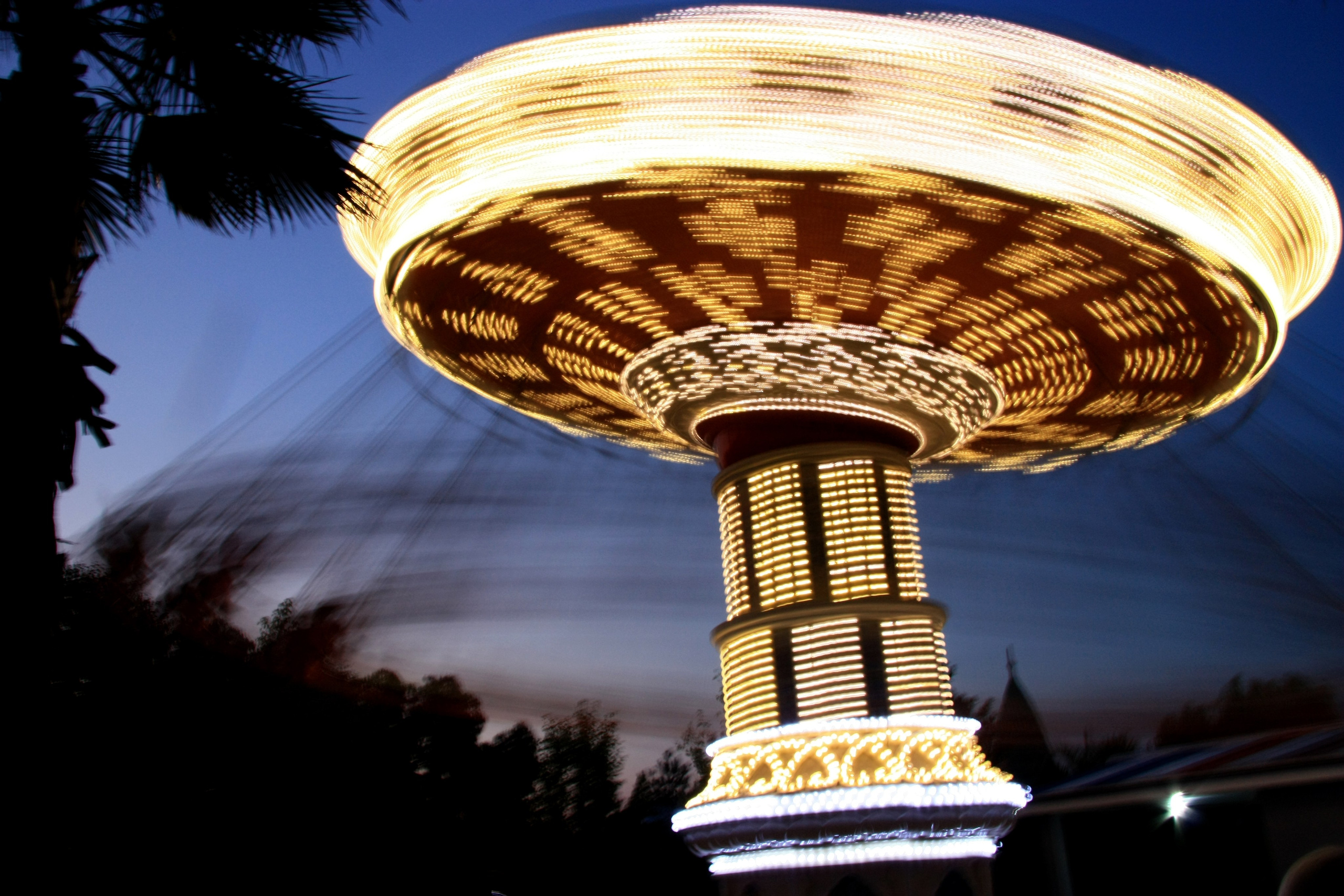 Первые кадры. Сочи — парк. Фотограф Роман Адлер