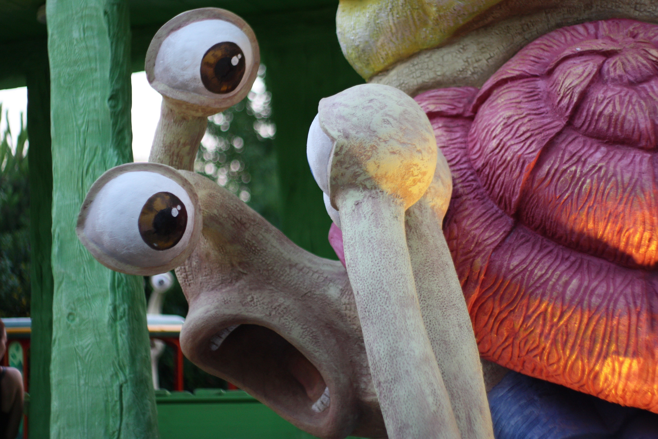 Первые кадры. Сочи — парк. Фотограф Роман Адлер