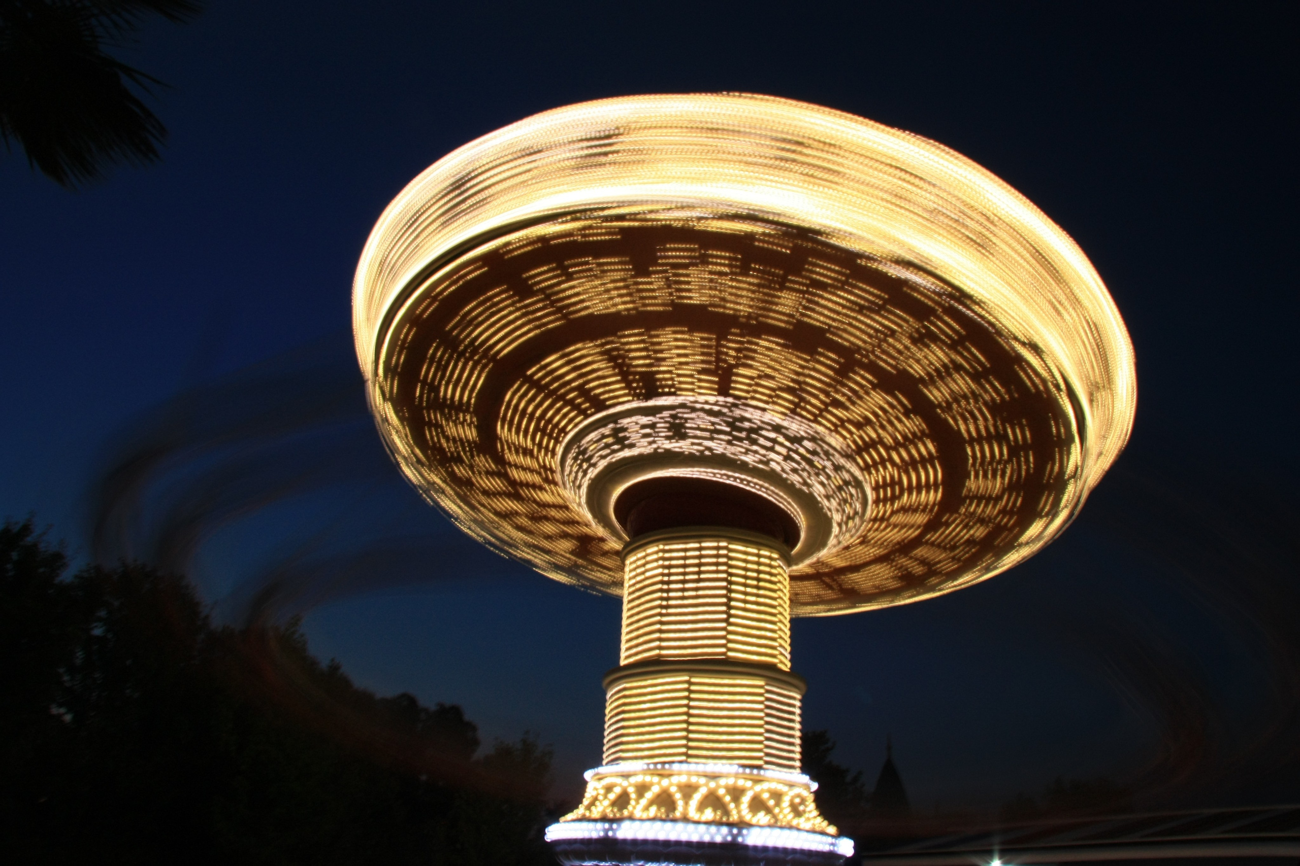 Первые кадры. Сочи — парк. Фотограф Роман Адлер