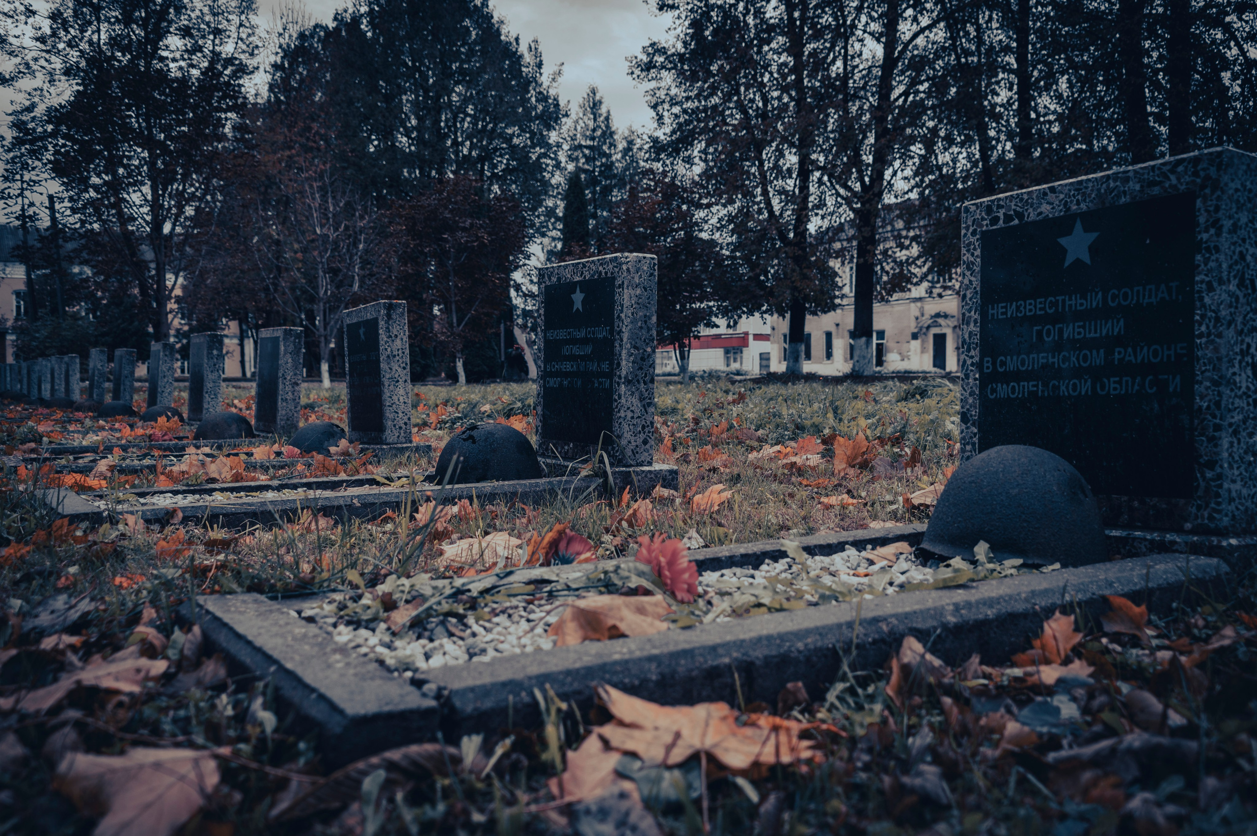 Авторская серия фотографа Романа Адлера «Ради Жизни». Фотограф Роман Адлер