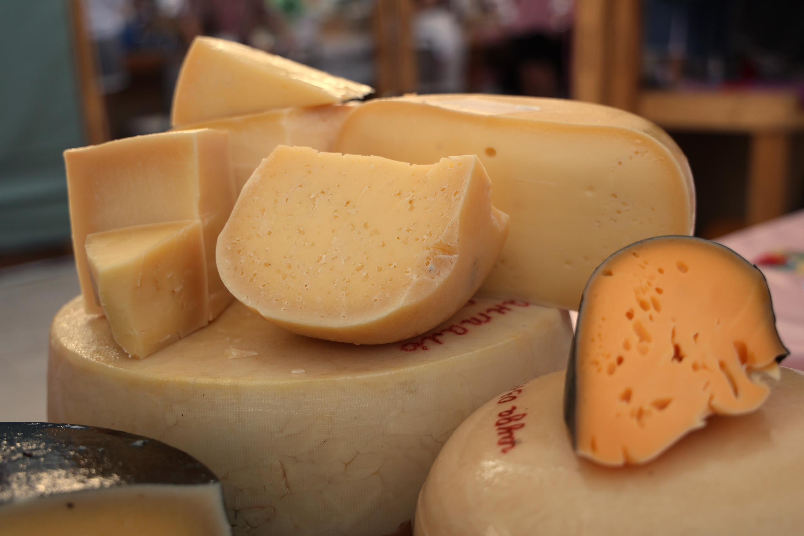 ЛАЛА Фест 23–24 августа в Геленджик Арена!. Фотограф в Геленджике Нина Небесная