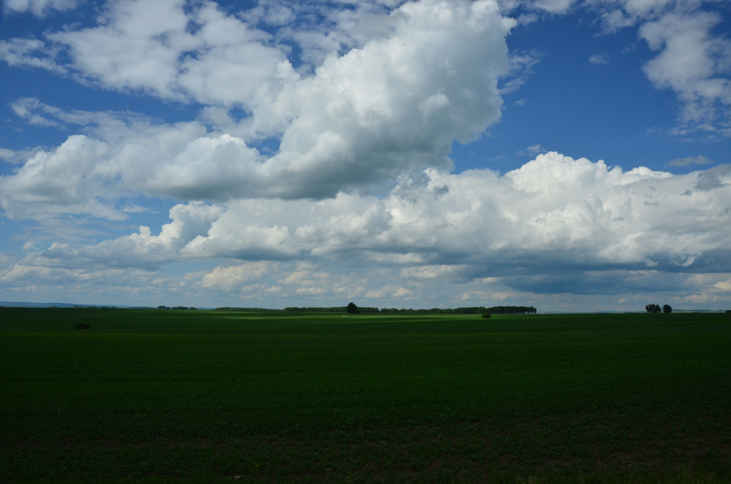 Дары природы. Фотограф viktor viktor
