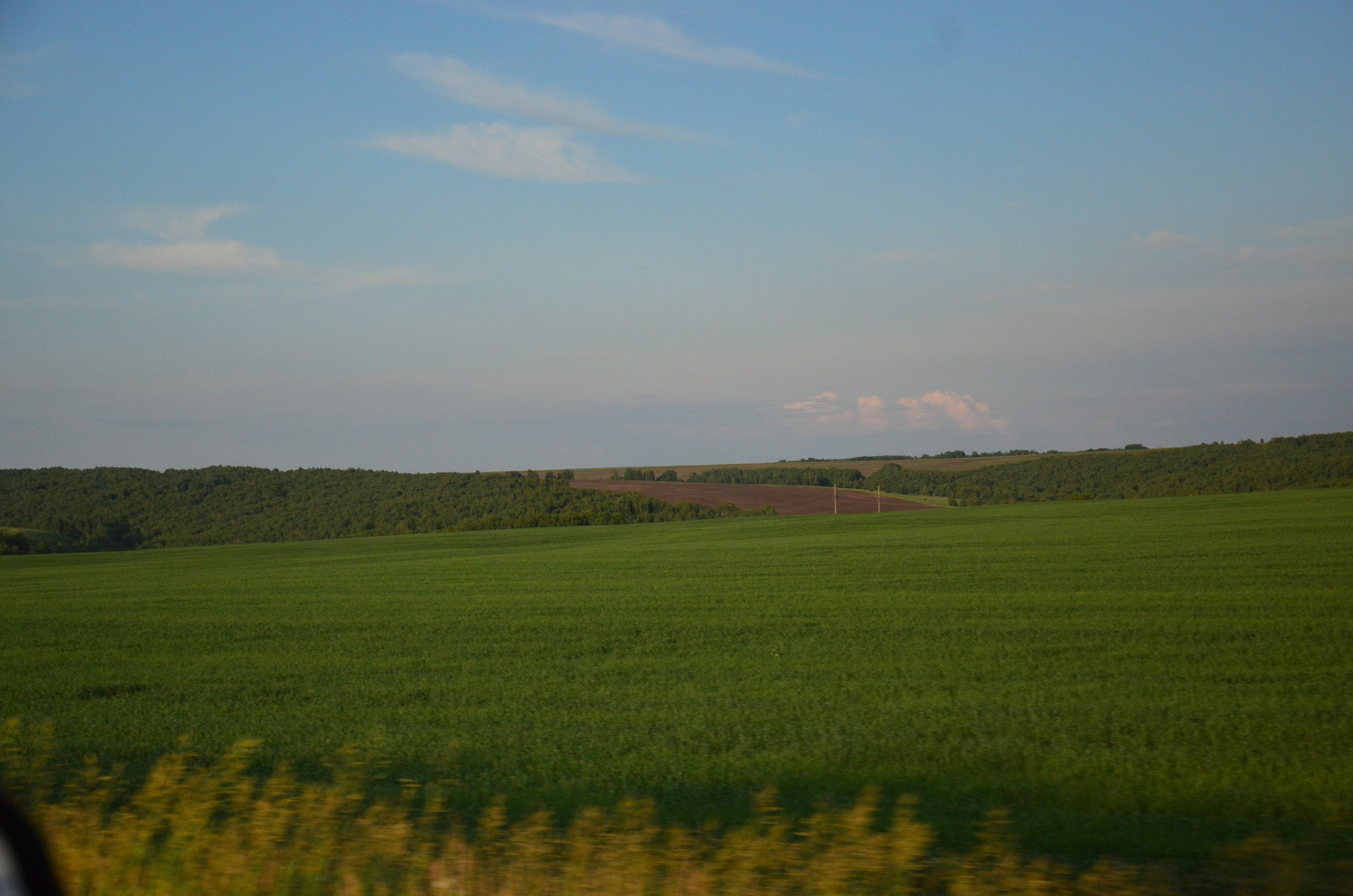 Дары природы. Фотограф viktor viktor