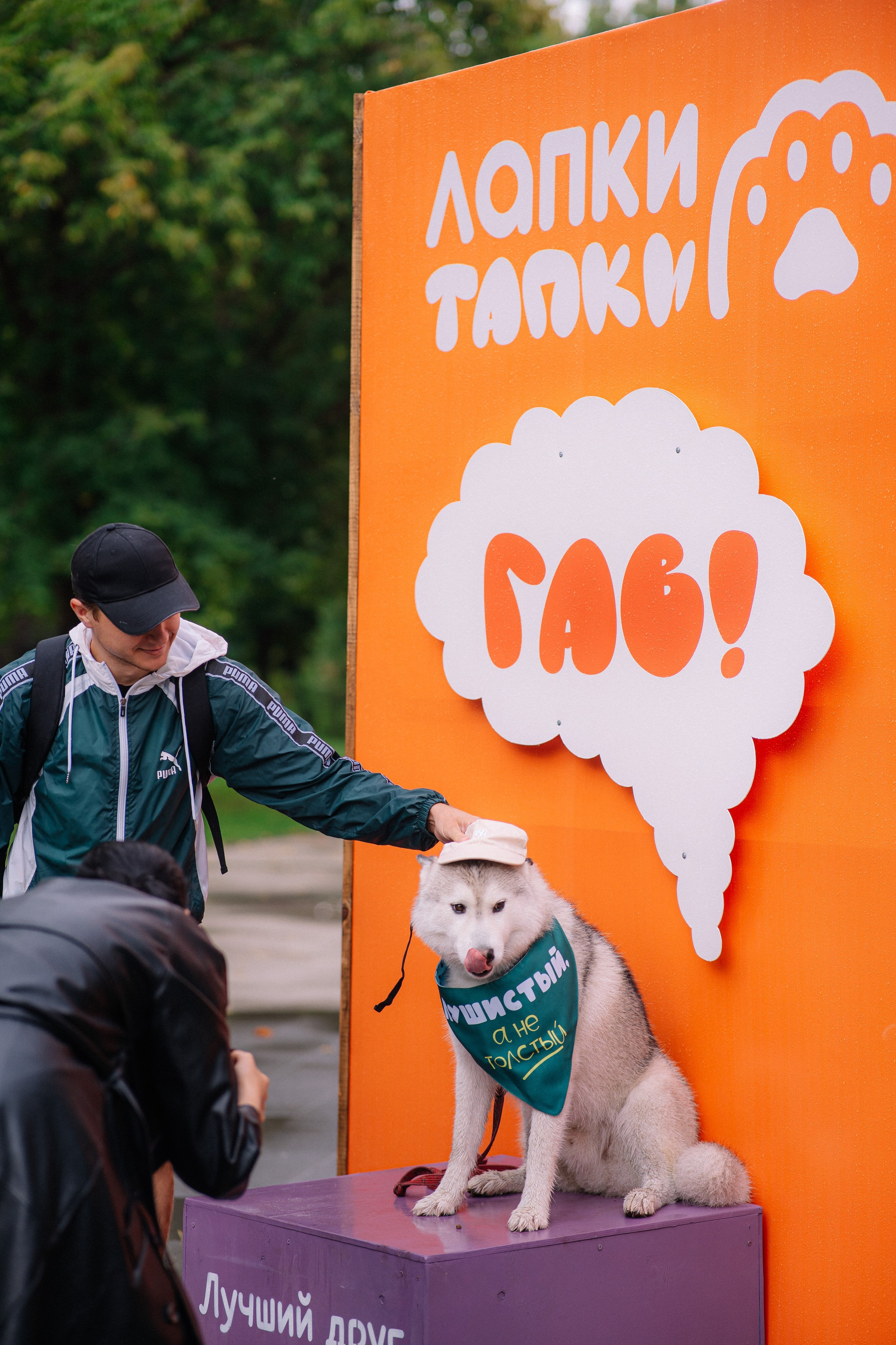 Фотоотчет ЛАПКИ ТАПКИ в Барнауле. Репортажный (Event) фотограф в Барнауле | Даниил Маркин | Качество и вайб